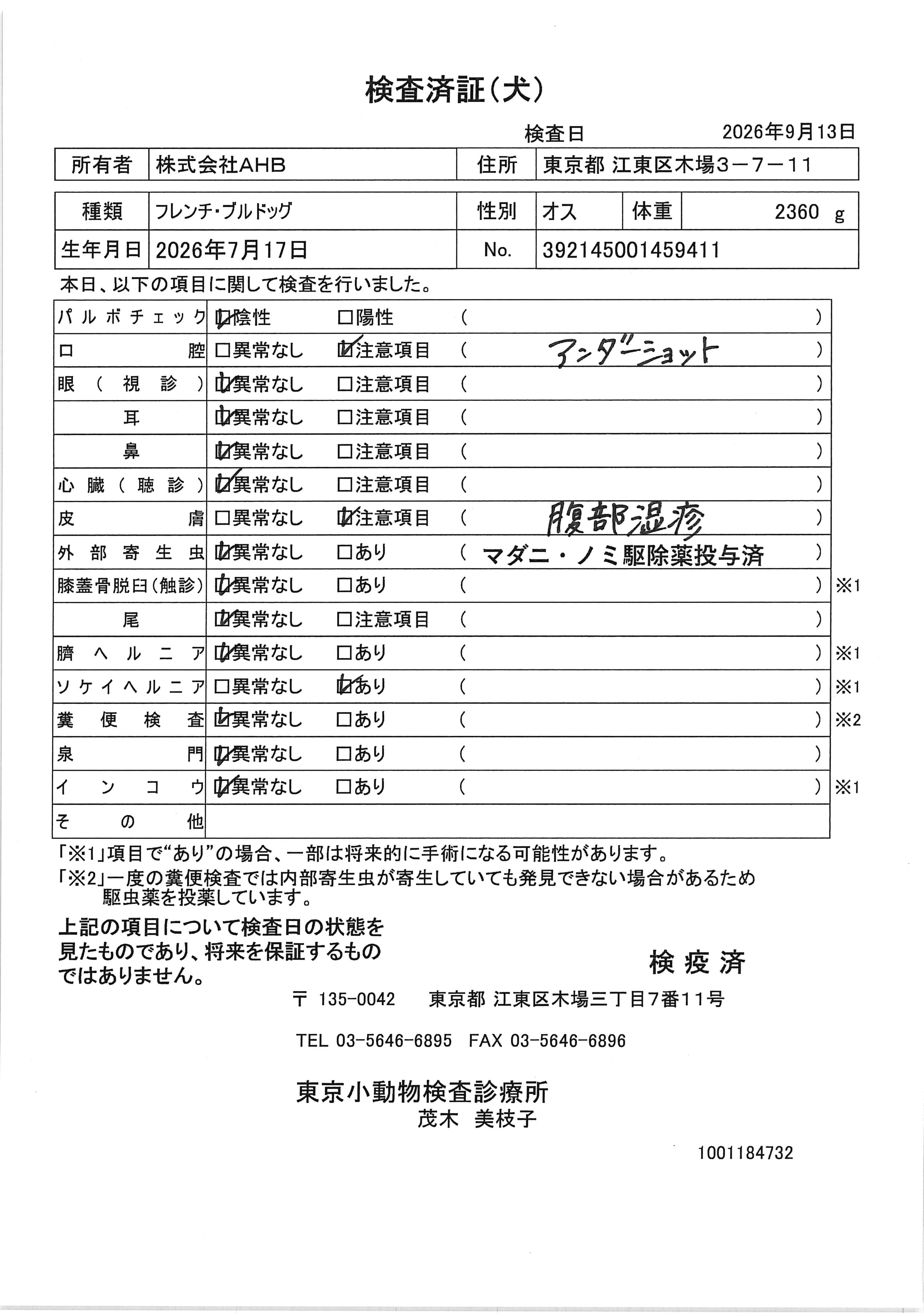 フレンチ・ブルドッグ