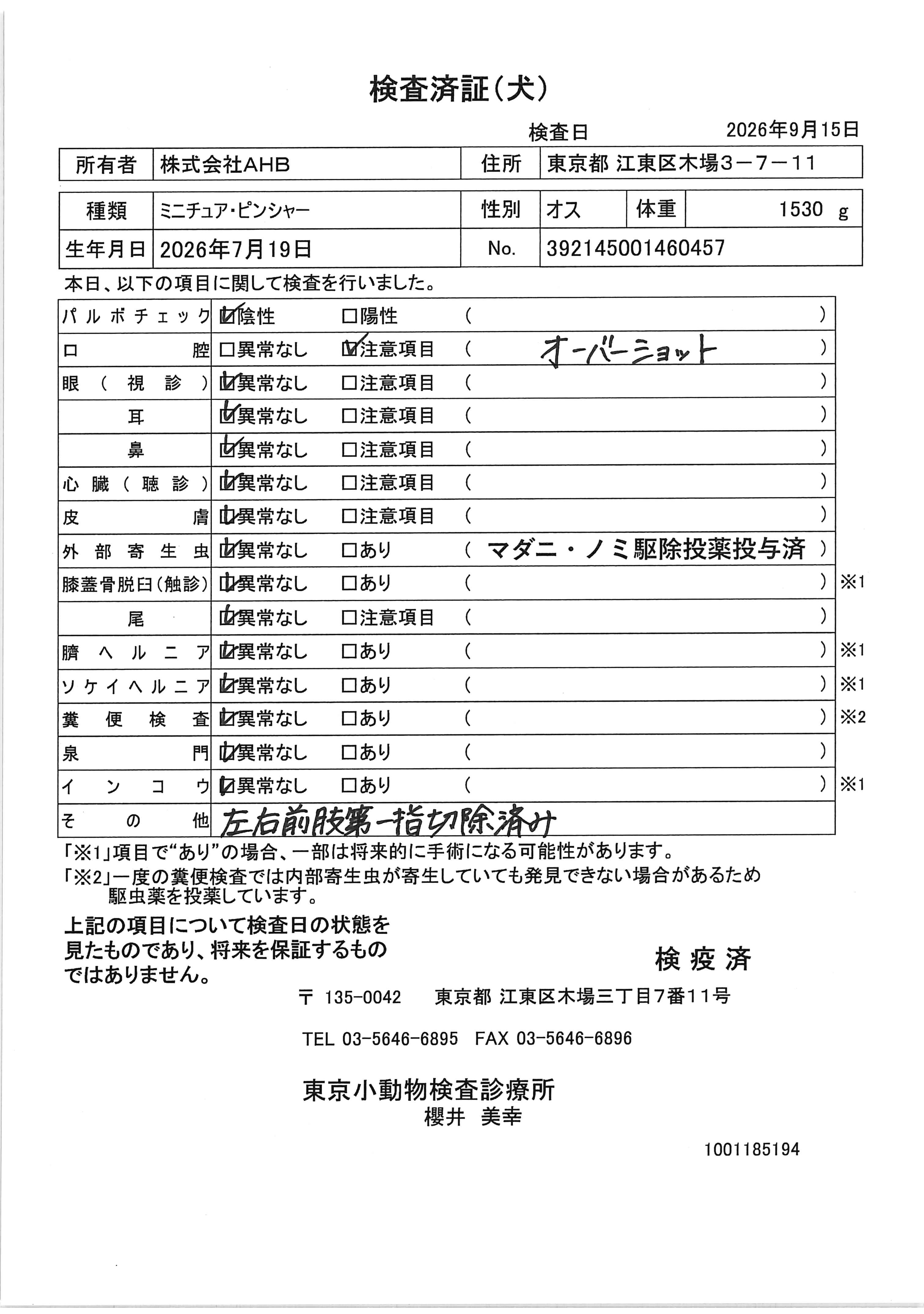 ミニチュア・ピンシャー