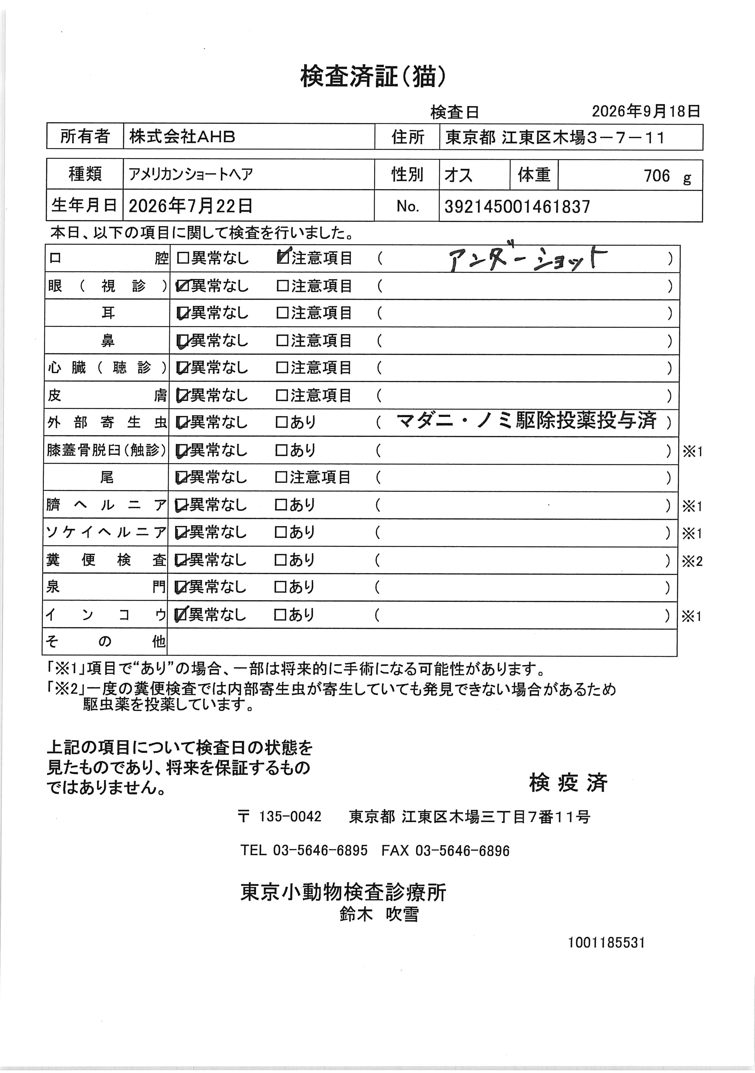 アメリカンショートヘア