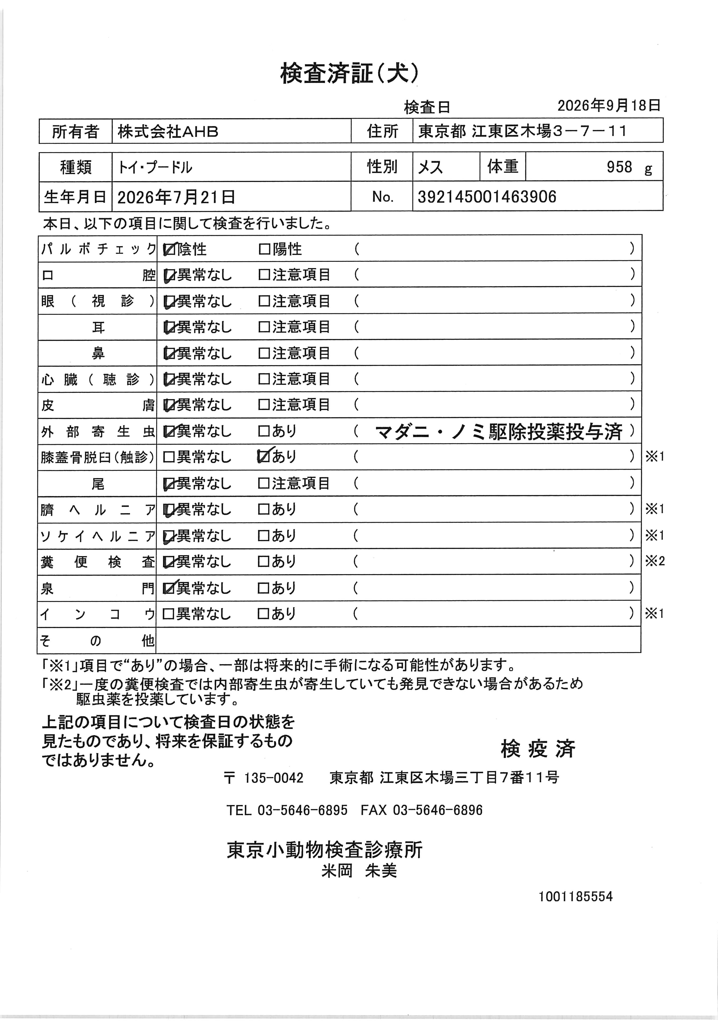 トイ・プードル
