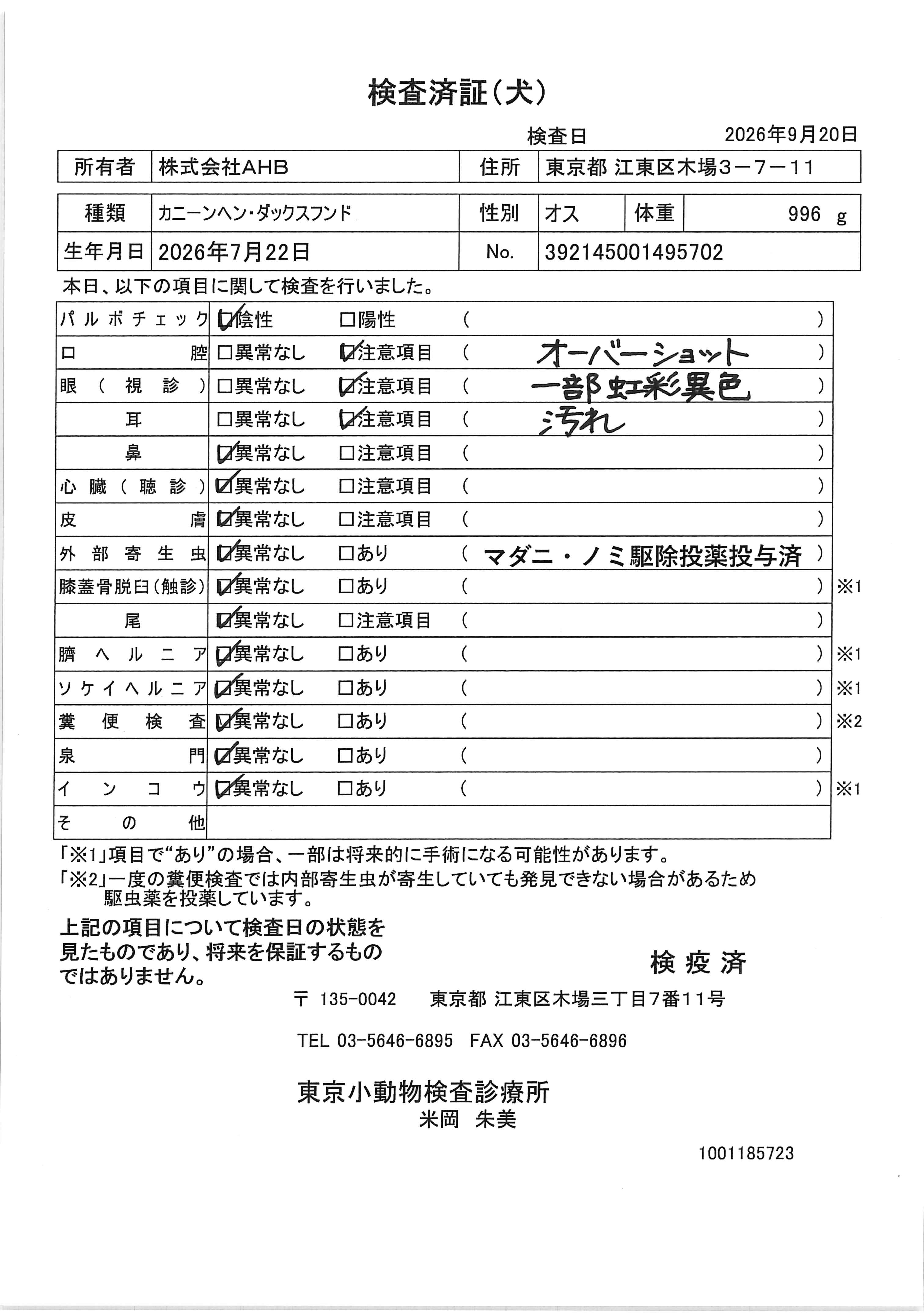 カニーンヘン・ダックスフンド