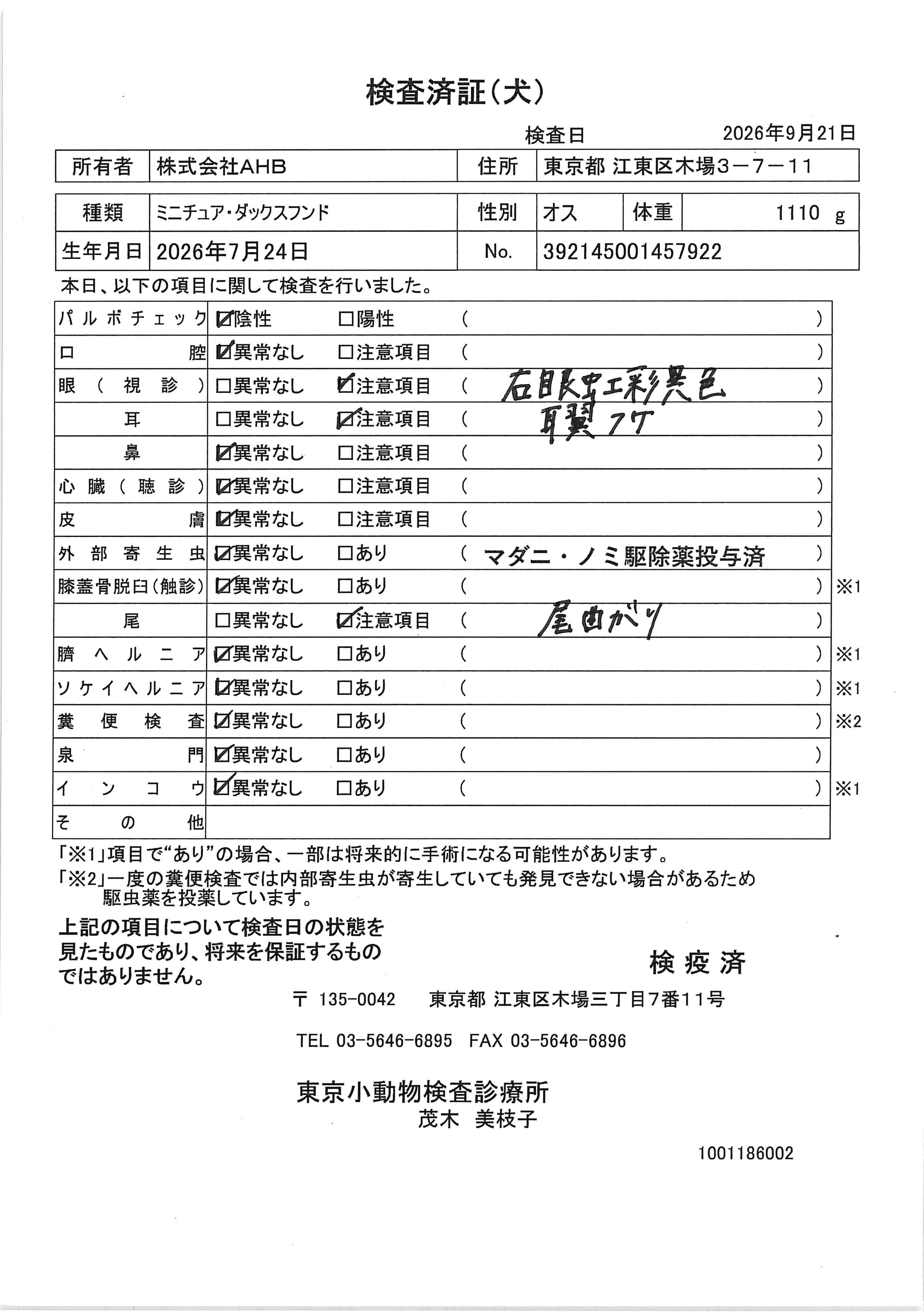 ミニチュア・ダックスフンド
