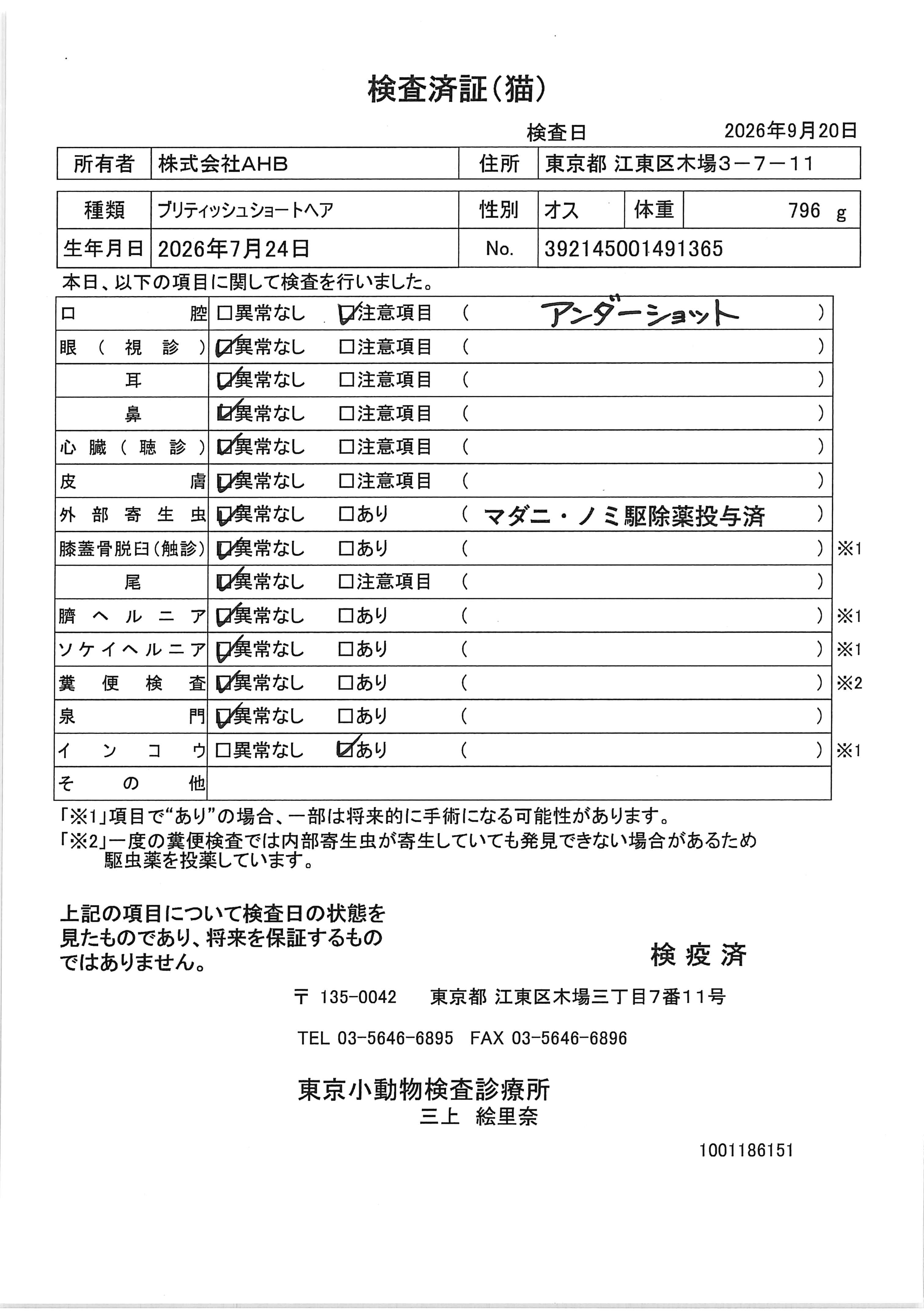ブリティッシュショートヘア