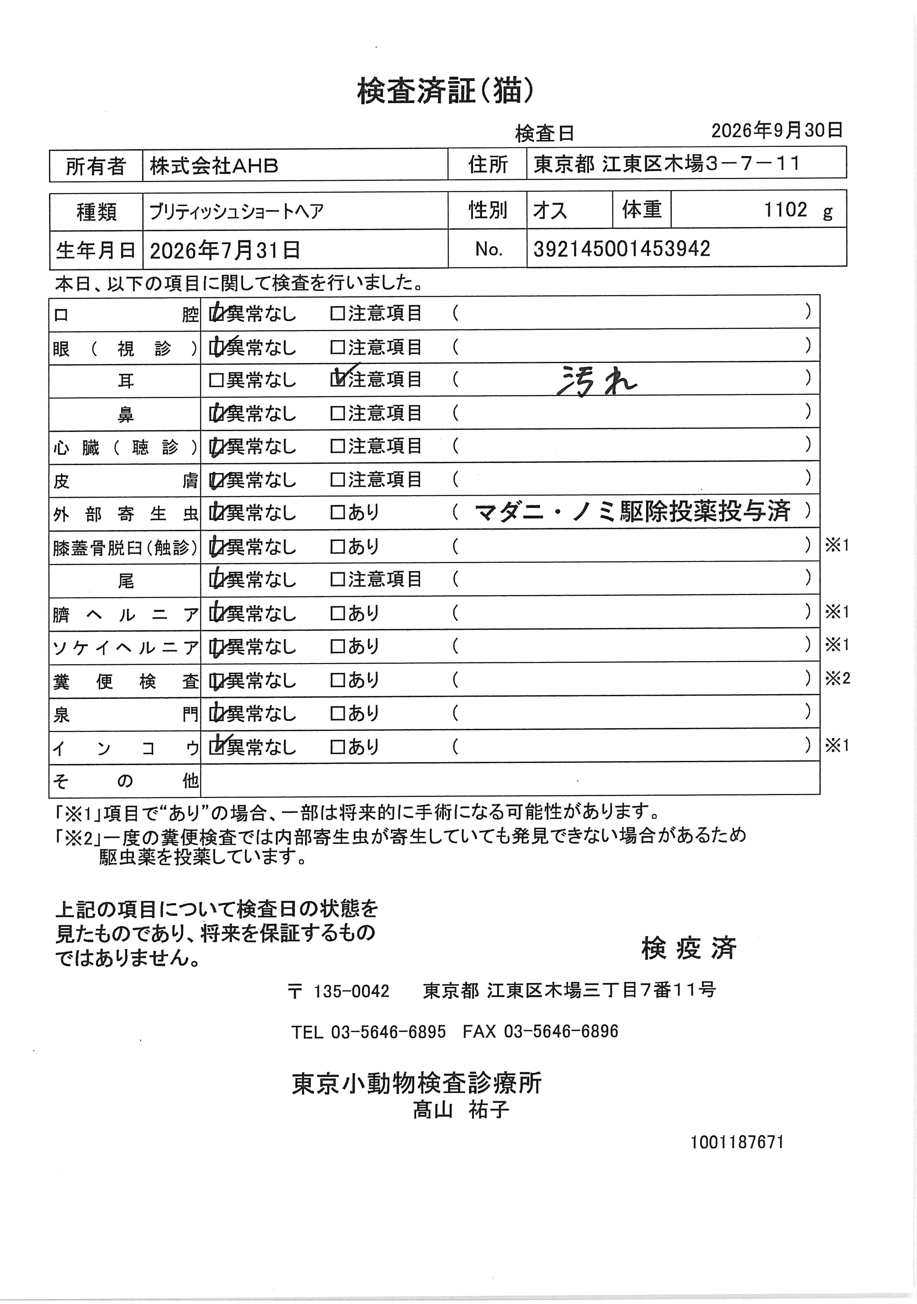 ブリティッシュショートヘア