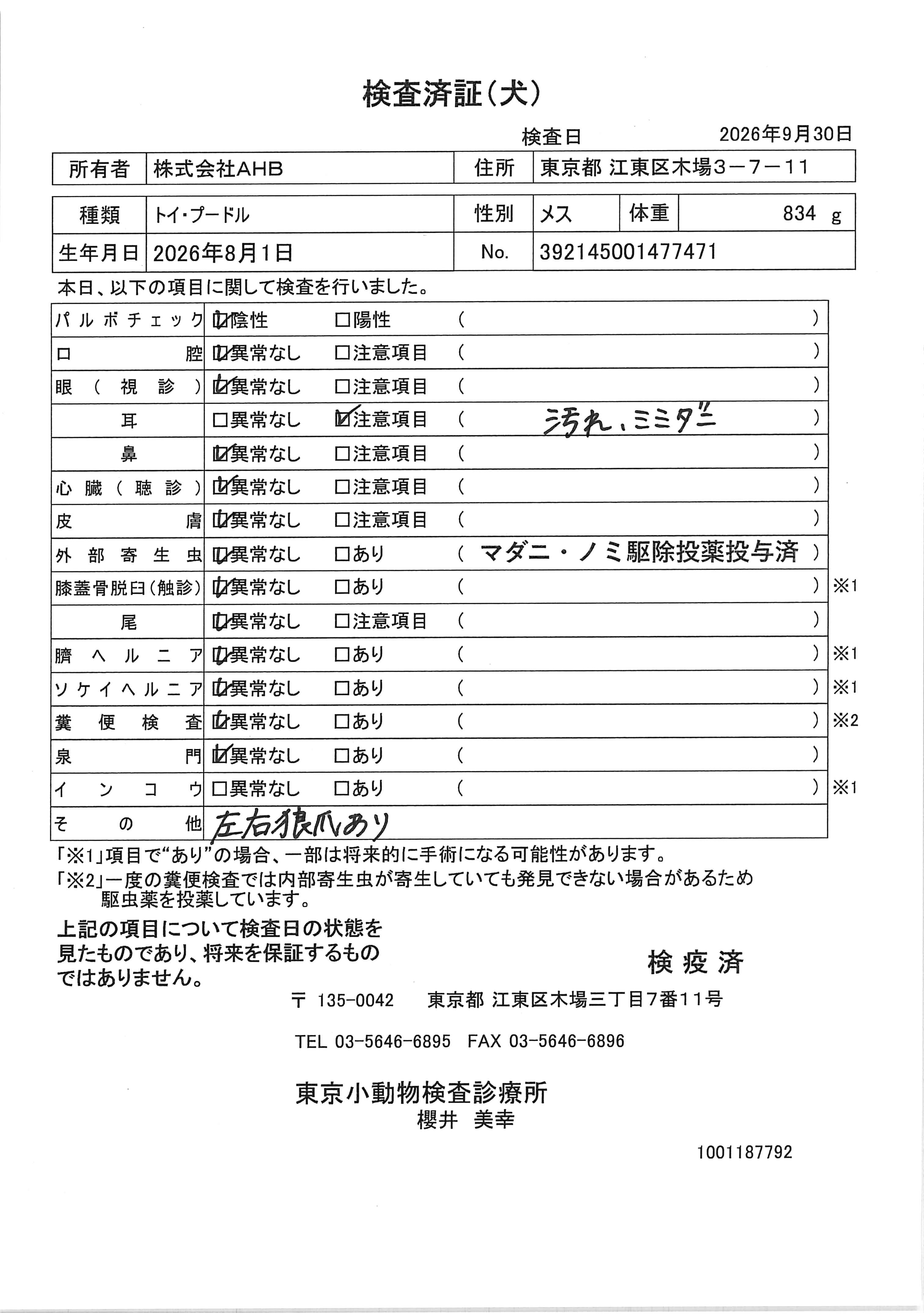トイ・プードル