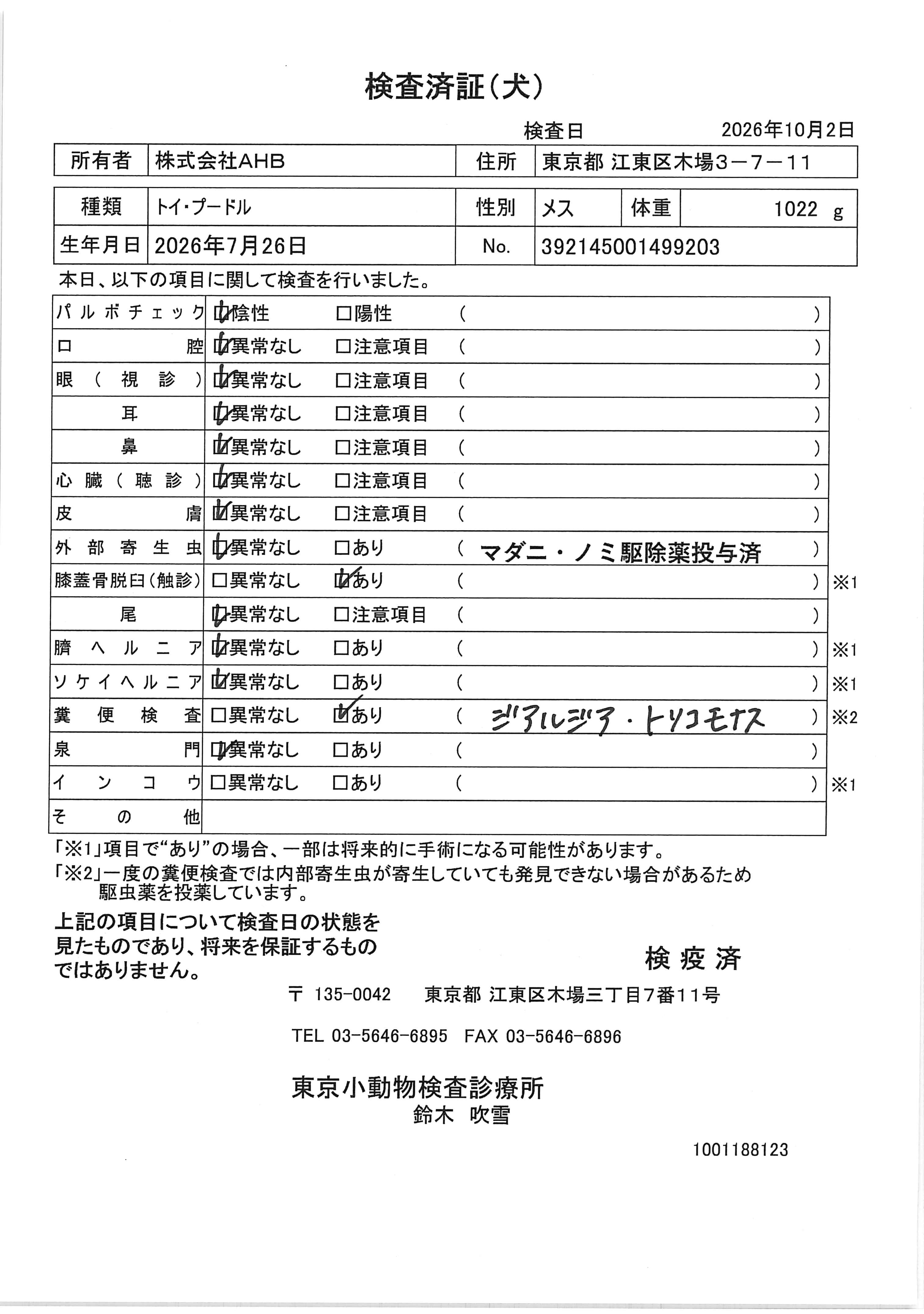 トイ・プードル