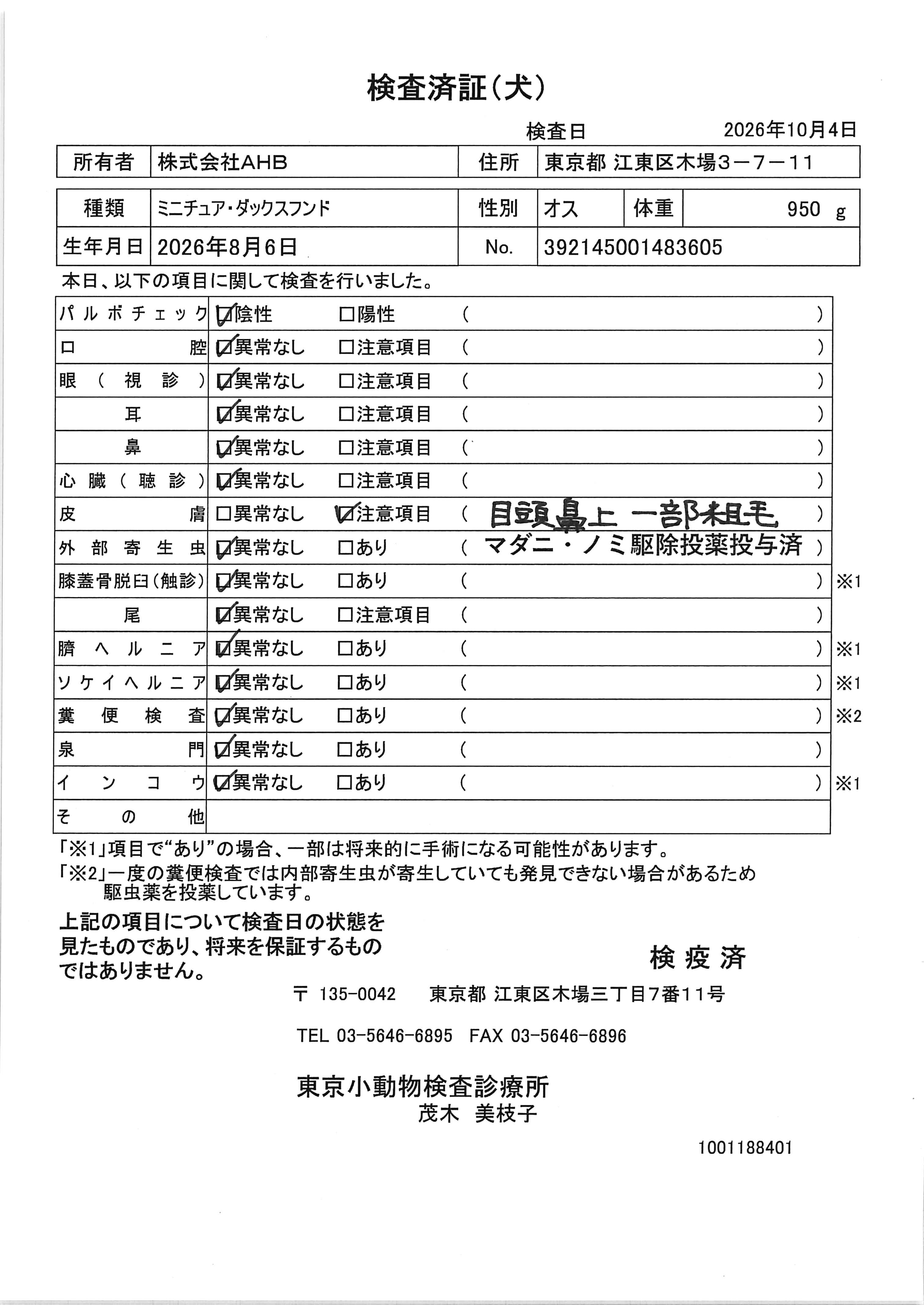 ミニチュア・ダックスフンド