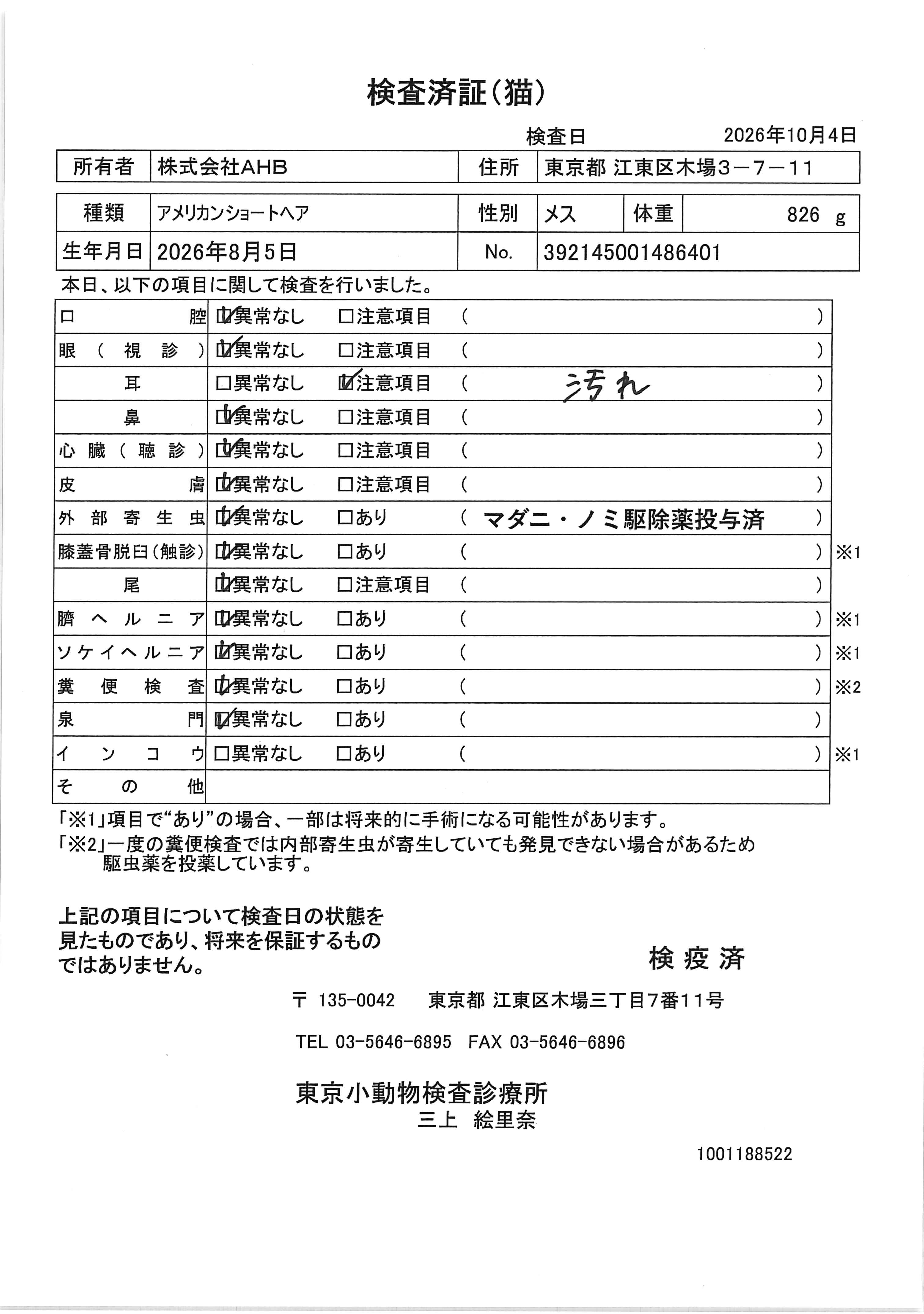 アメリカンショートヘア