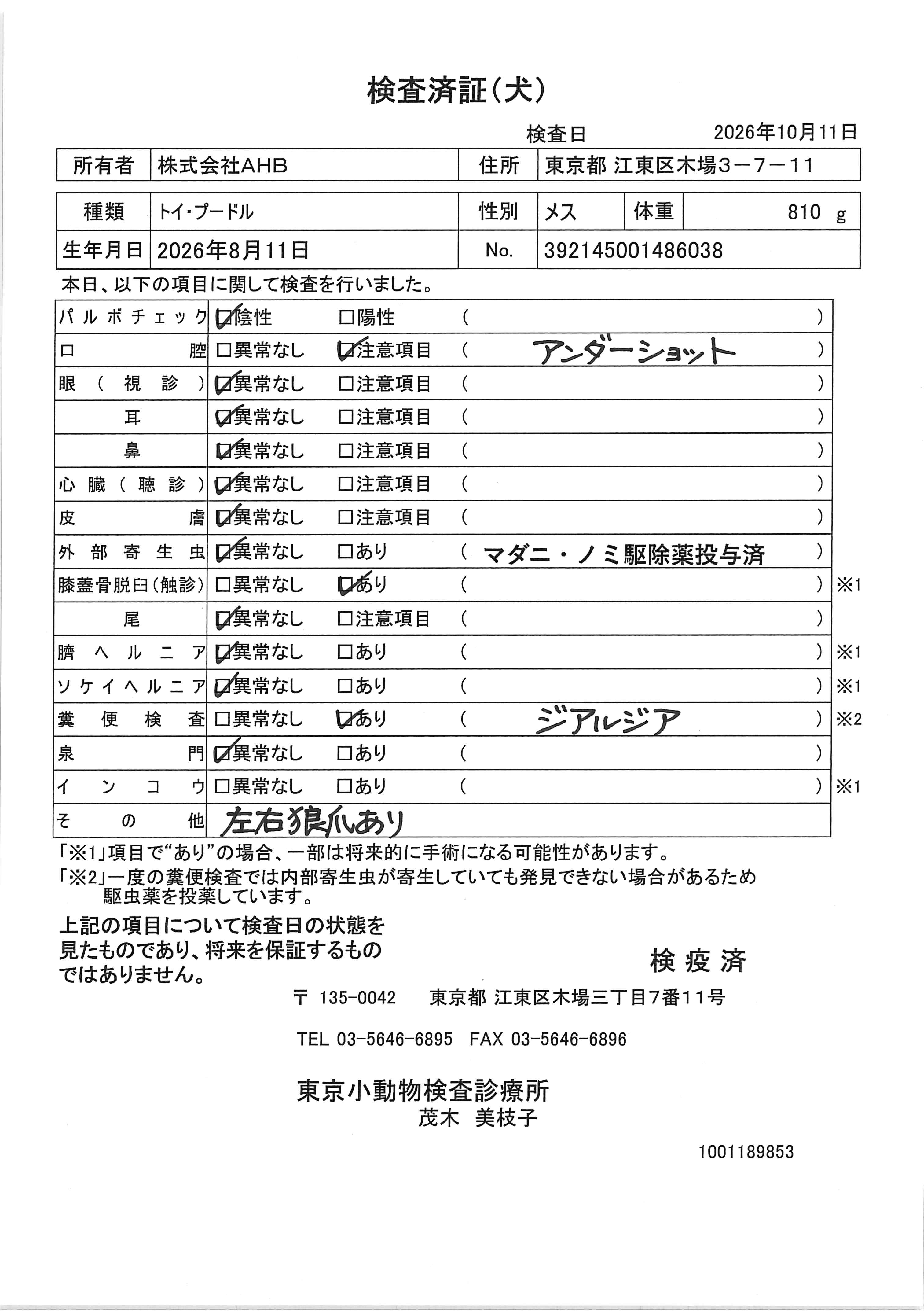 トイ・プードル
