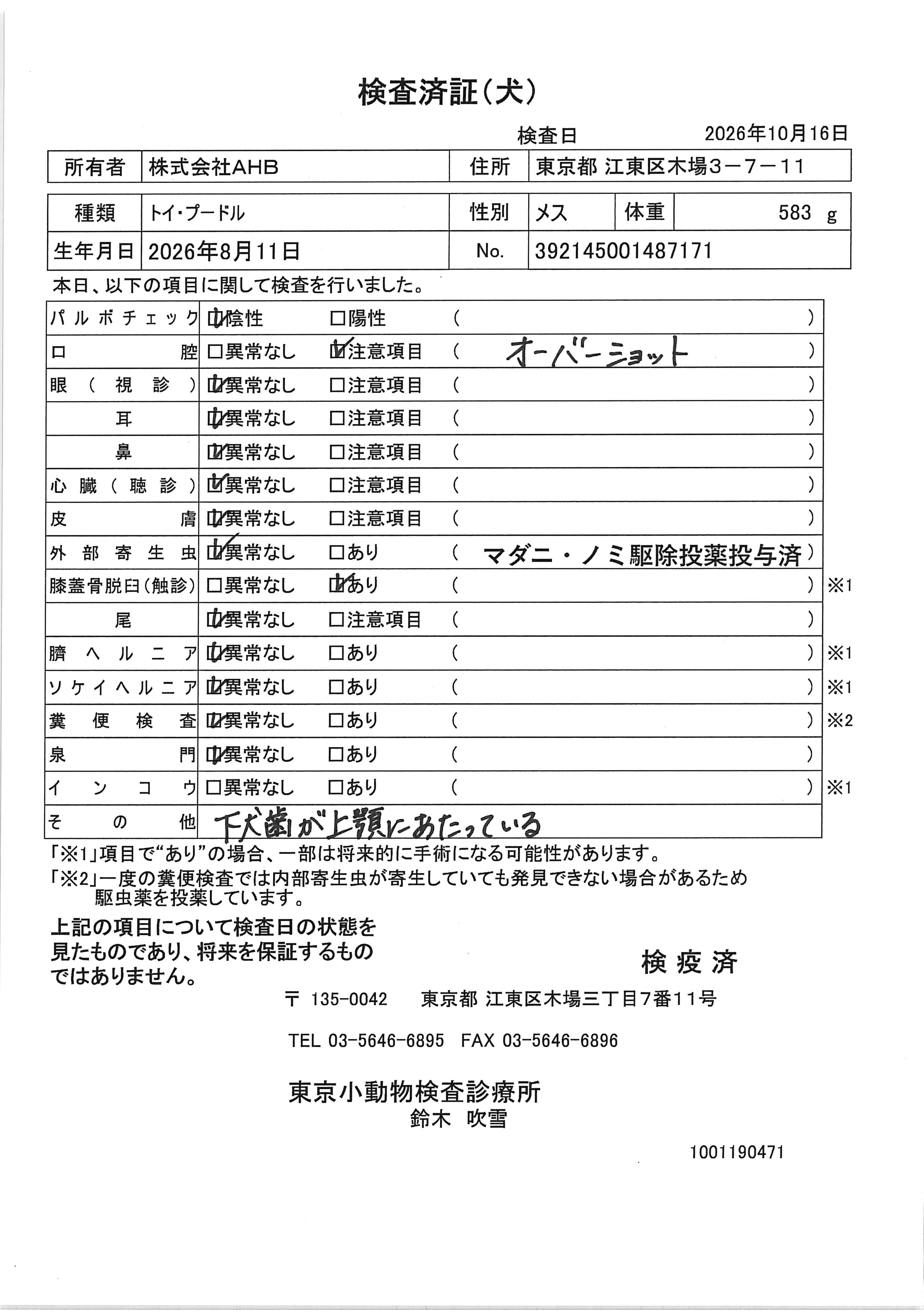 トイ・プードル