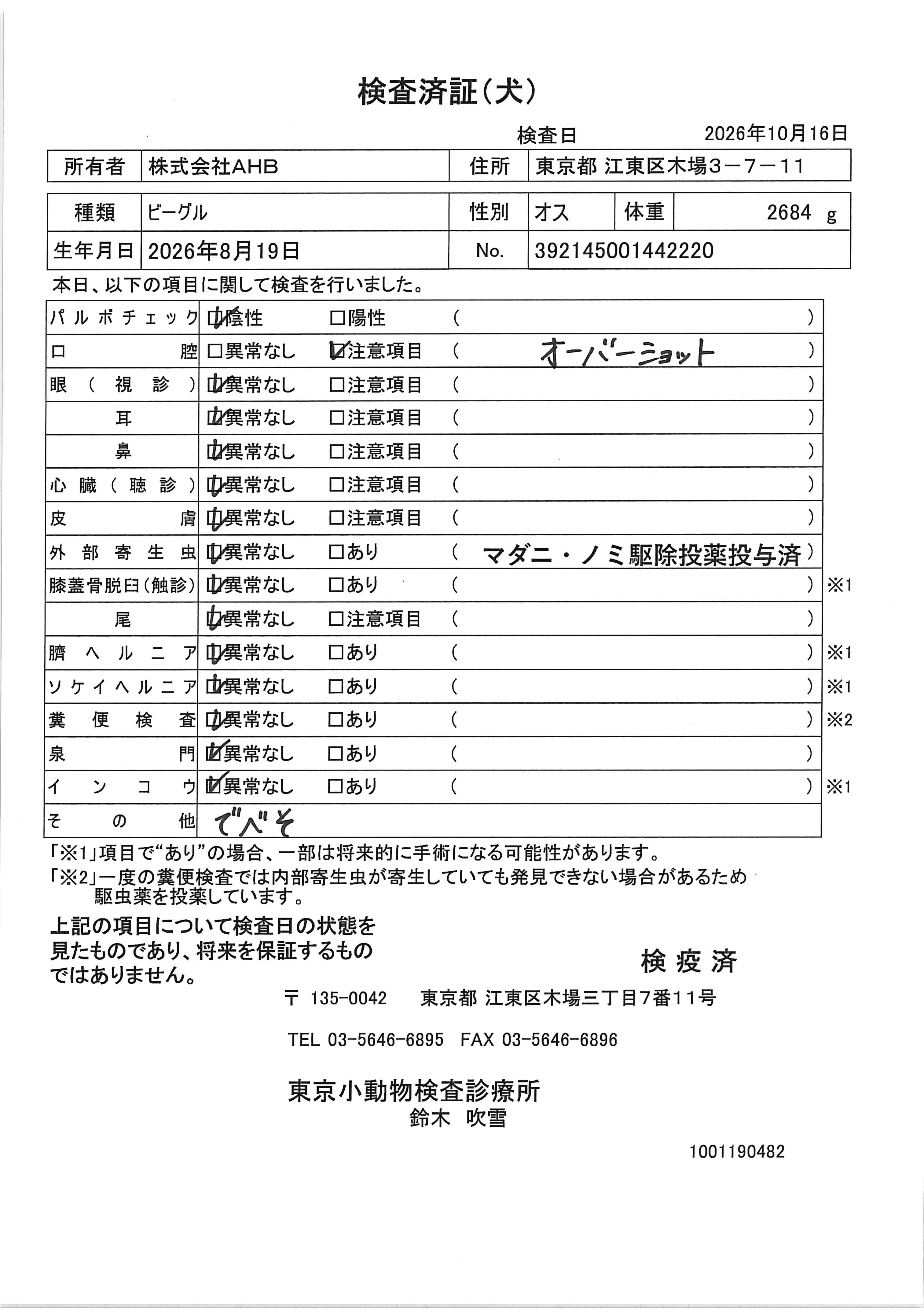 ビーグル