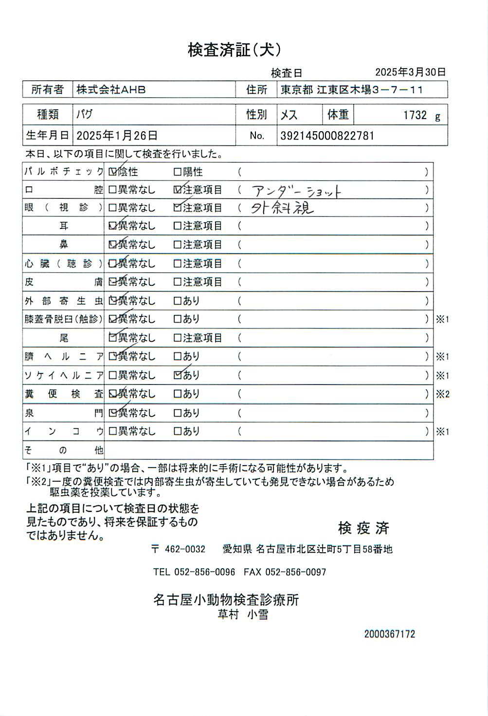 パグ