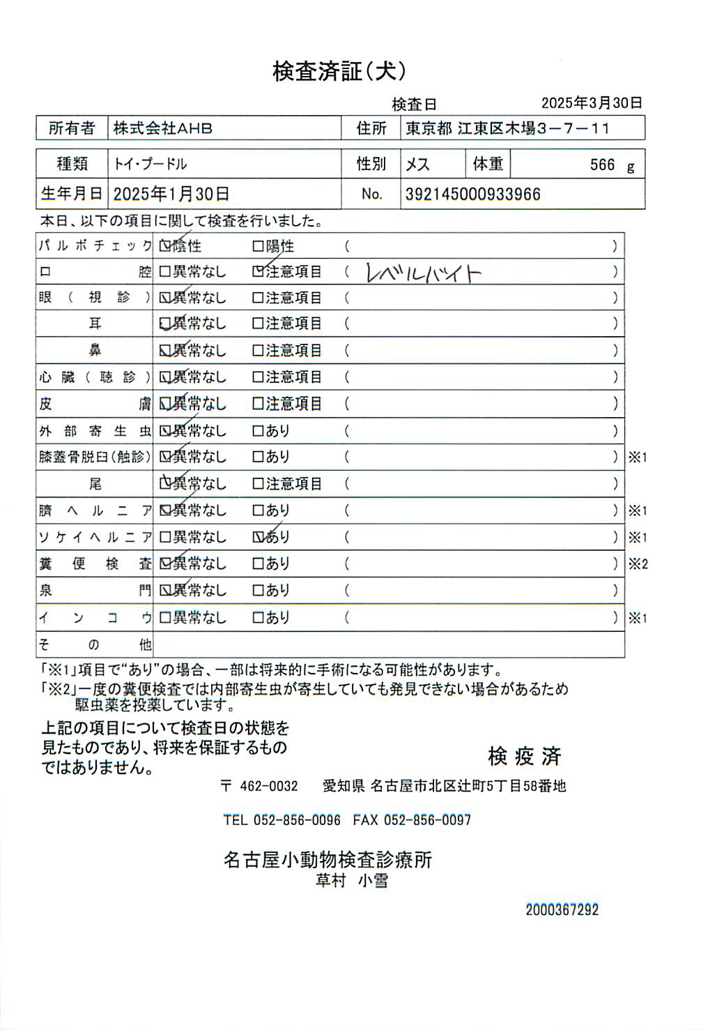 トイ・プードル