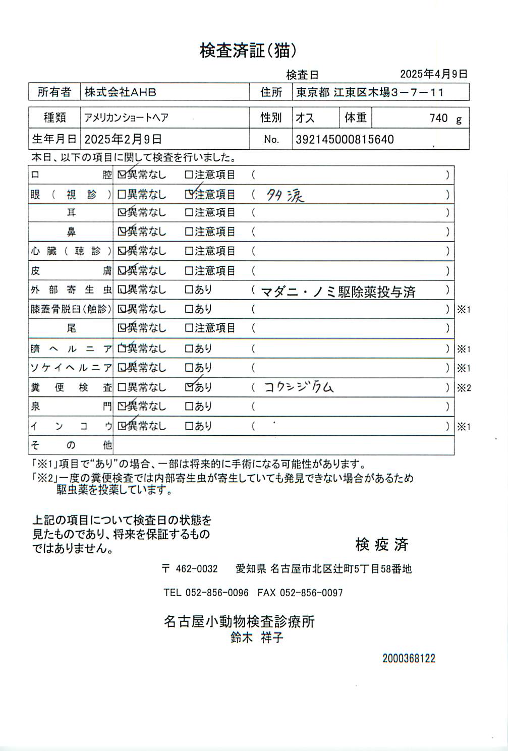 アメリカンショートヘア