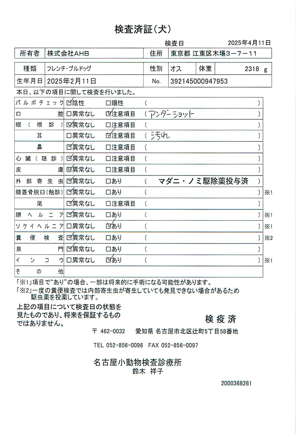 フレンチ・ブルドッグ