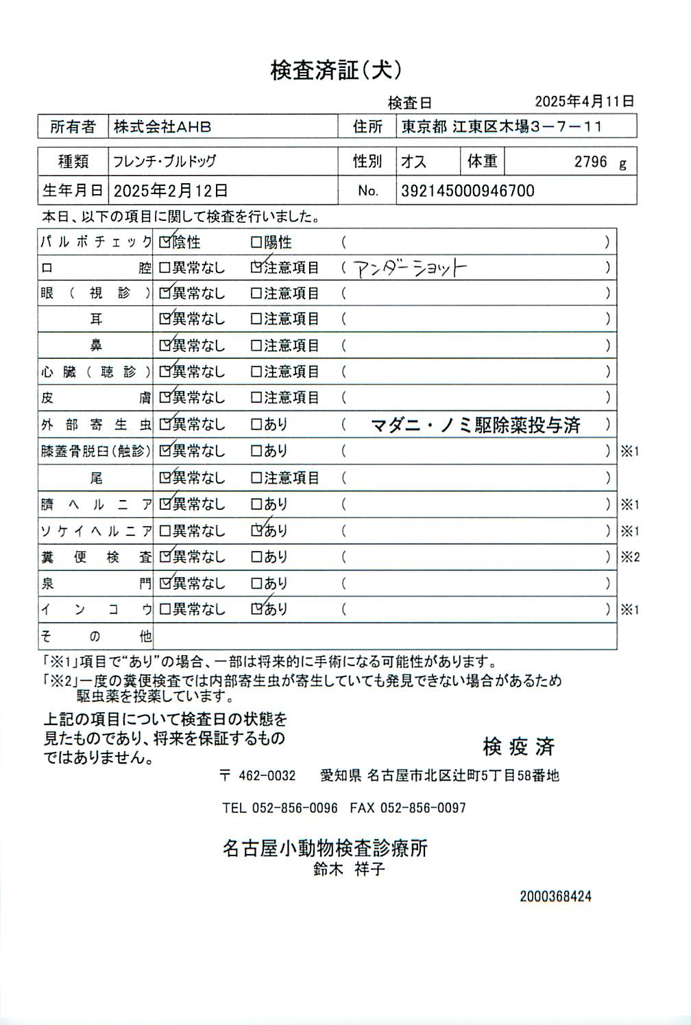 フレンチ・ブルドッグ