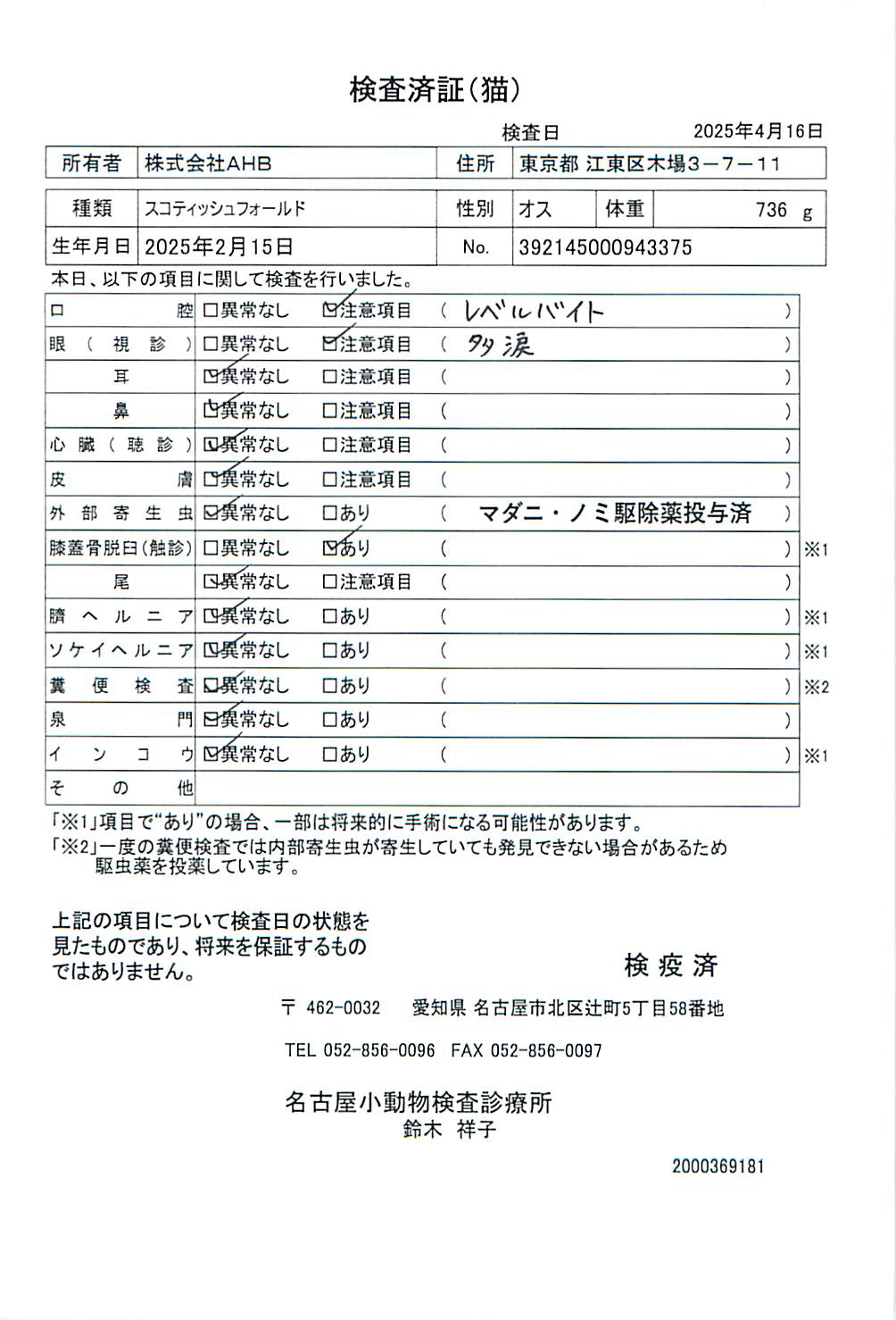 スコティッシュフォールド