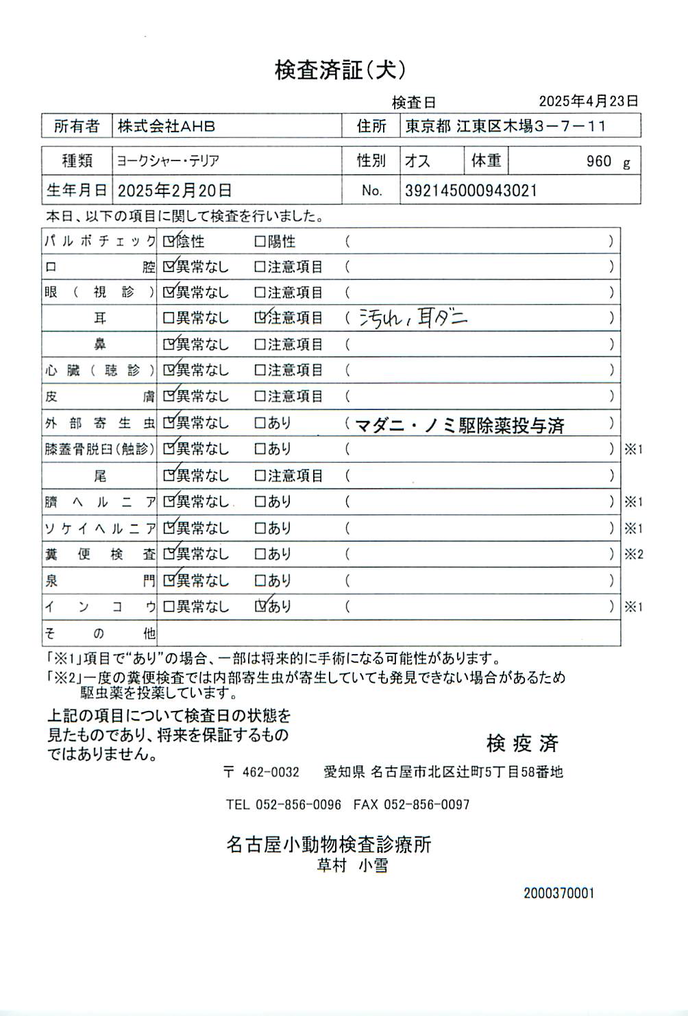 ヨークシャー・テリア