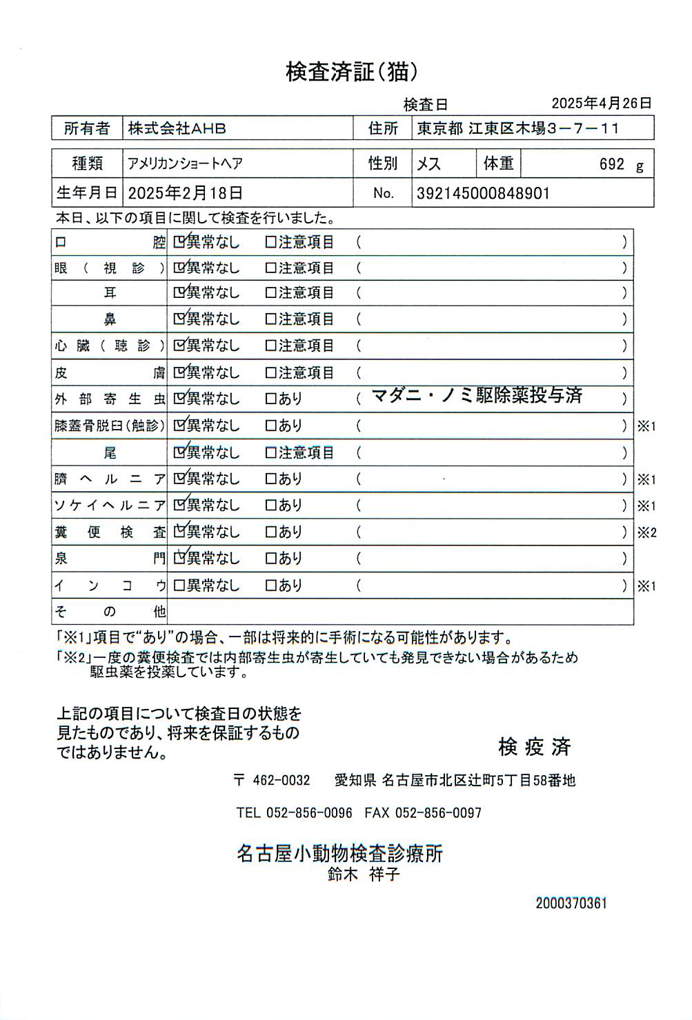 アメリカンショートヘア