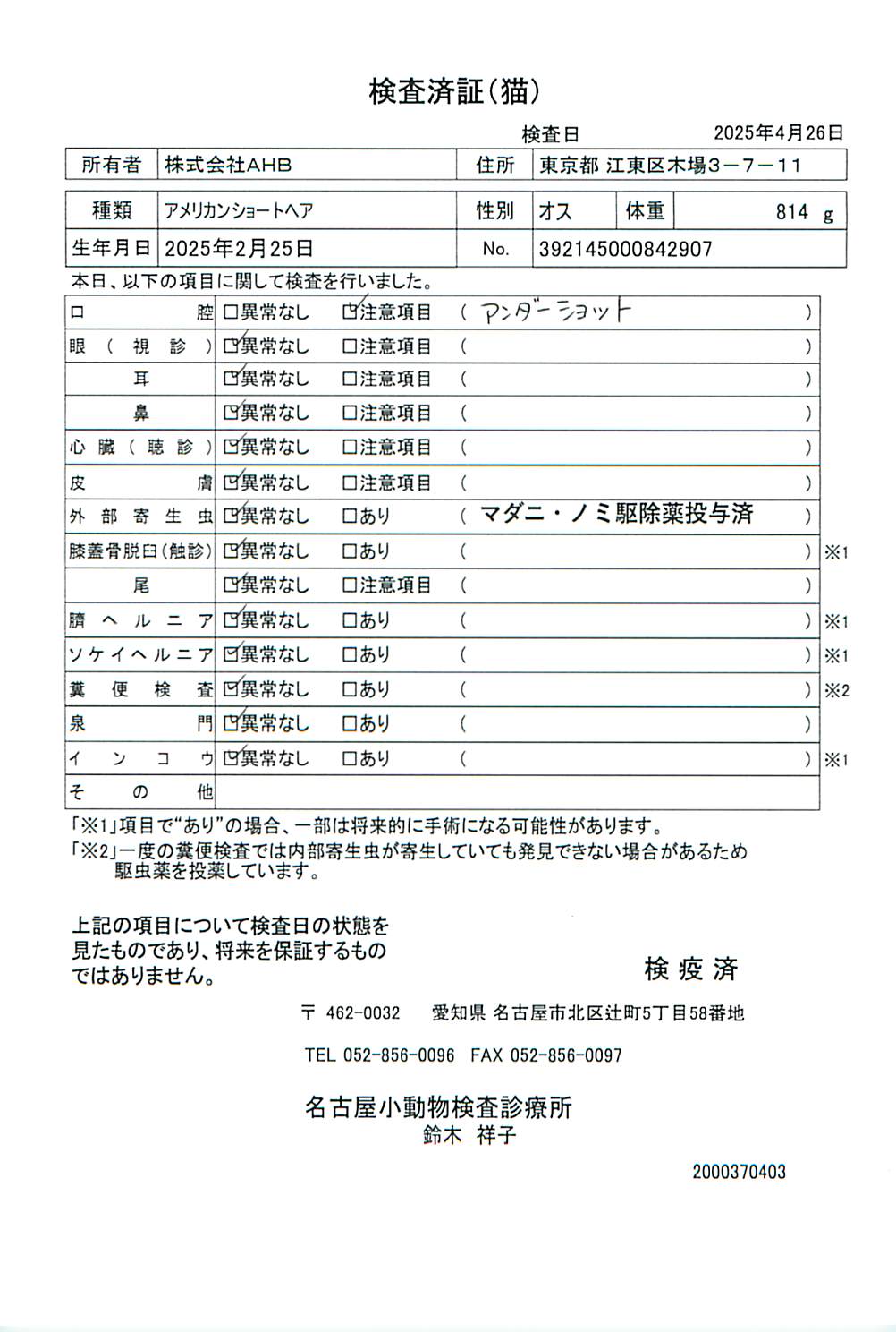 アメリカンショートヘア
