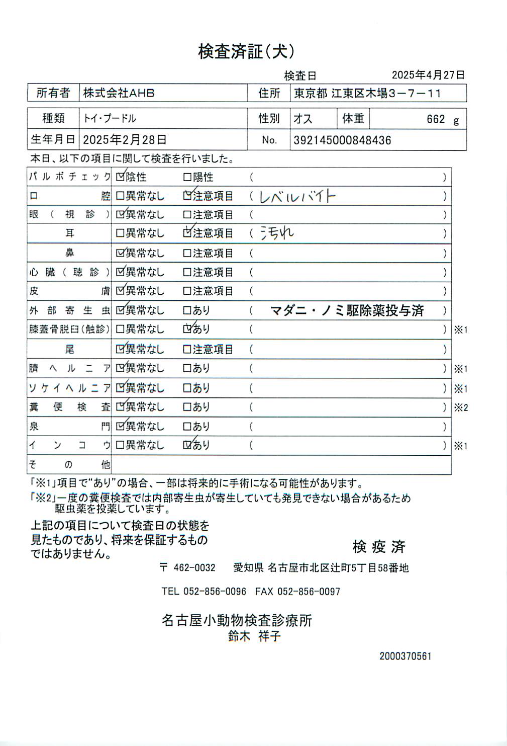 トイ・プードル