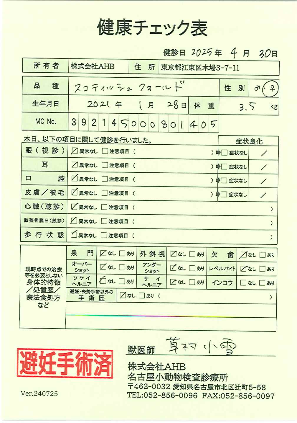スコティッシュフォールド