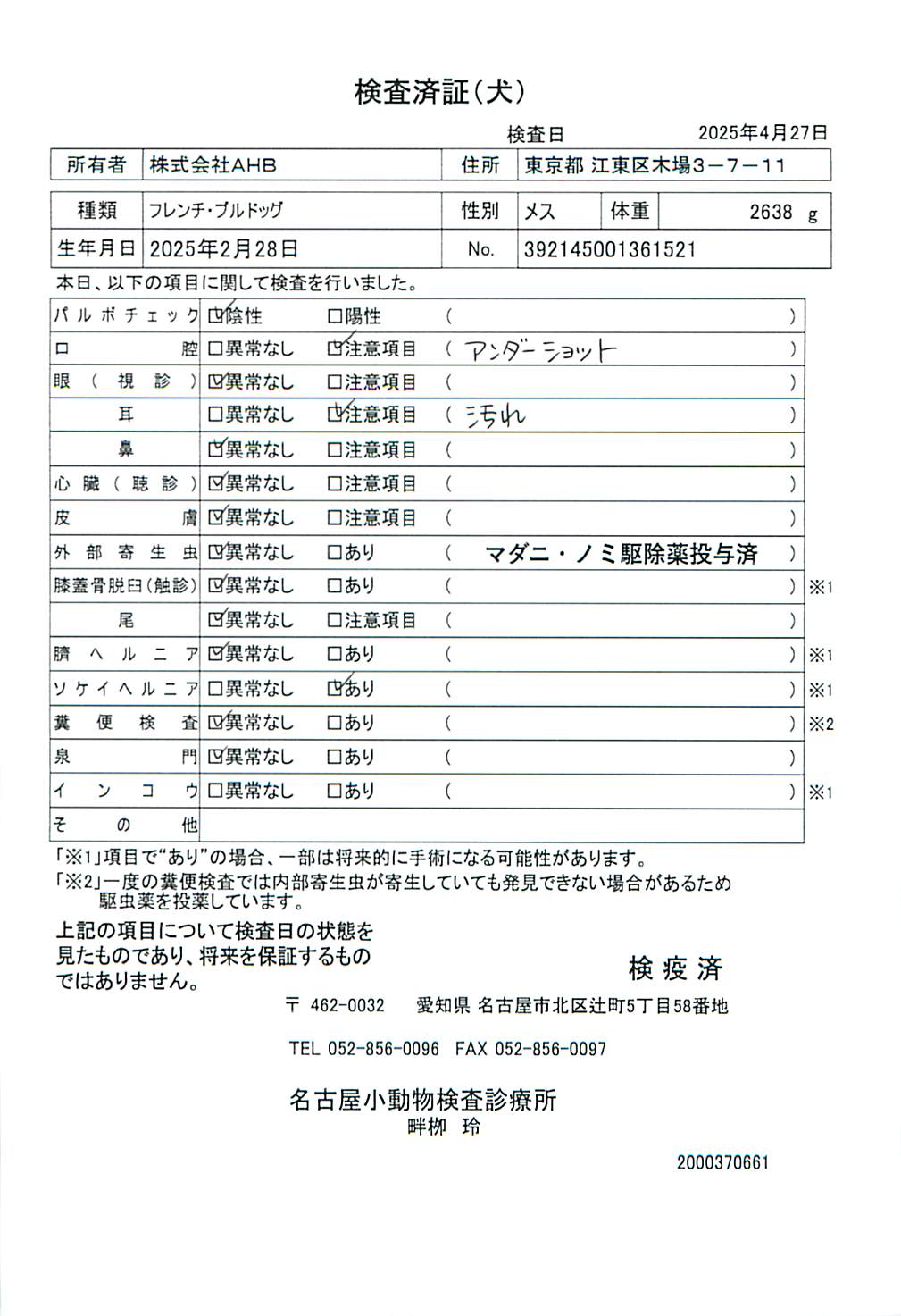フレンチ・ブルドッグ