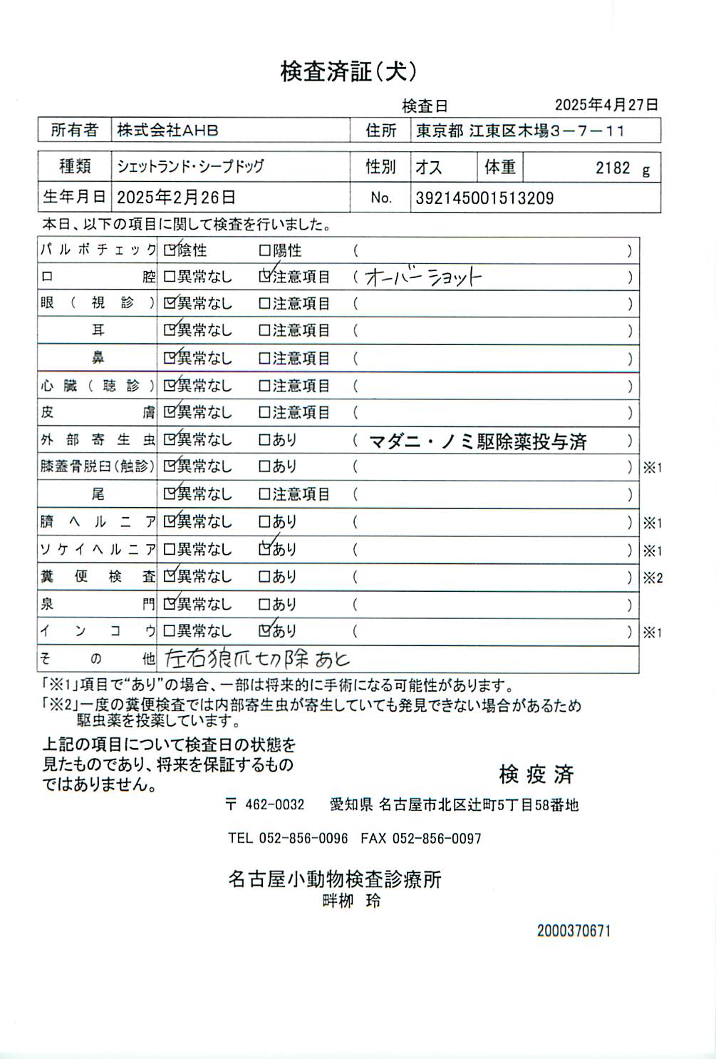 シェットランド・シープドッグ