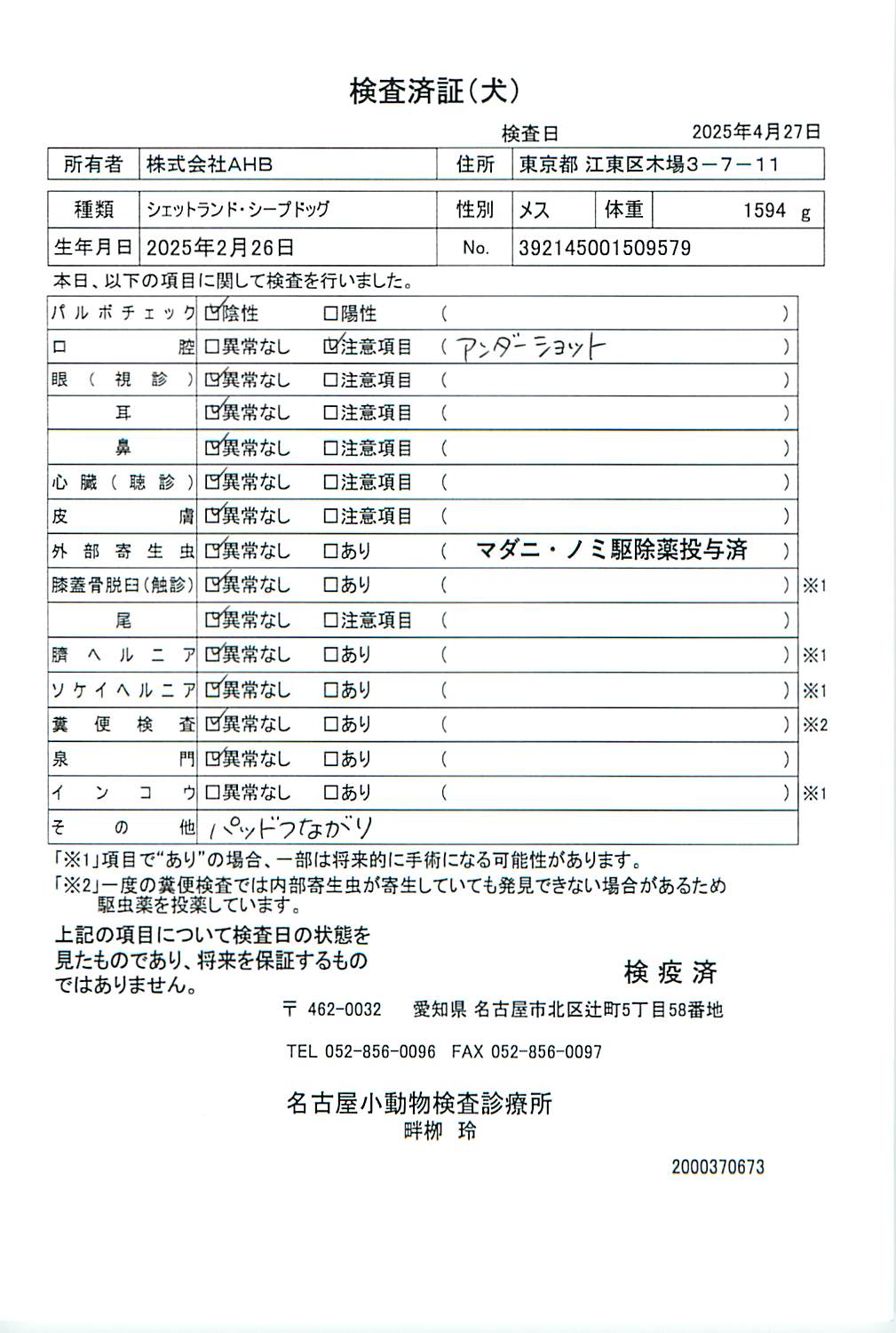 シェットランド・シープドッグ