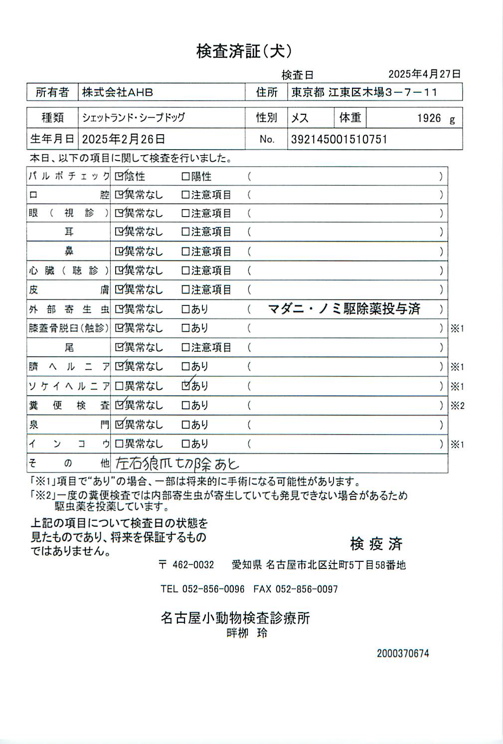 シェットランド・シープドッグ