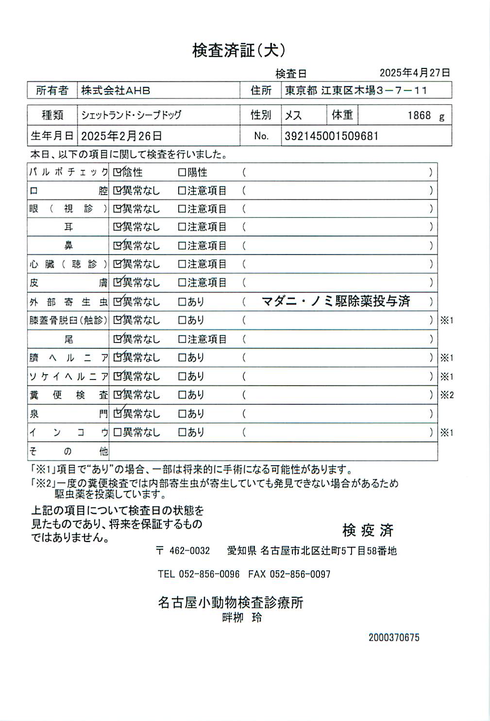 シェットランド・シープドッグ