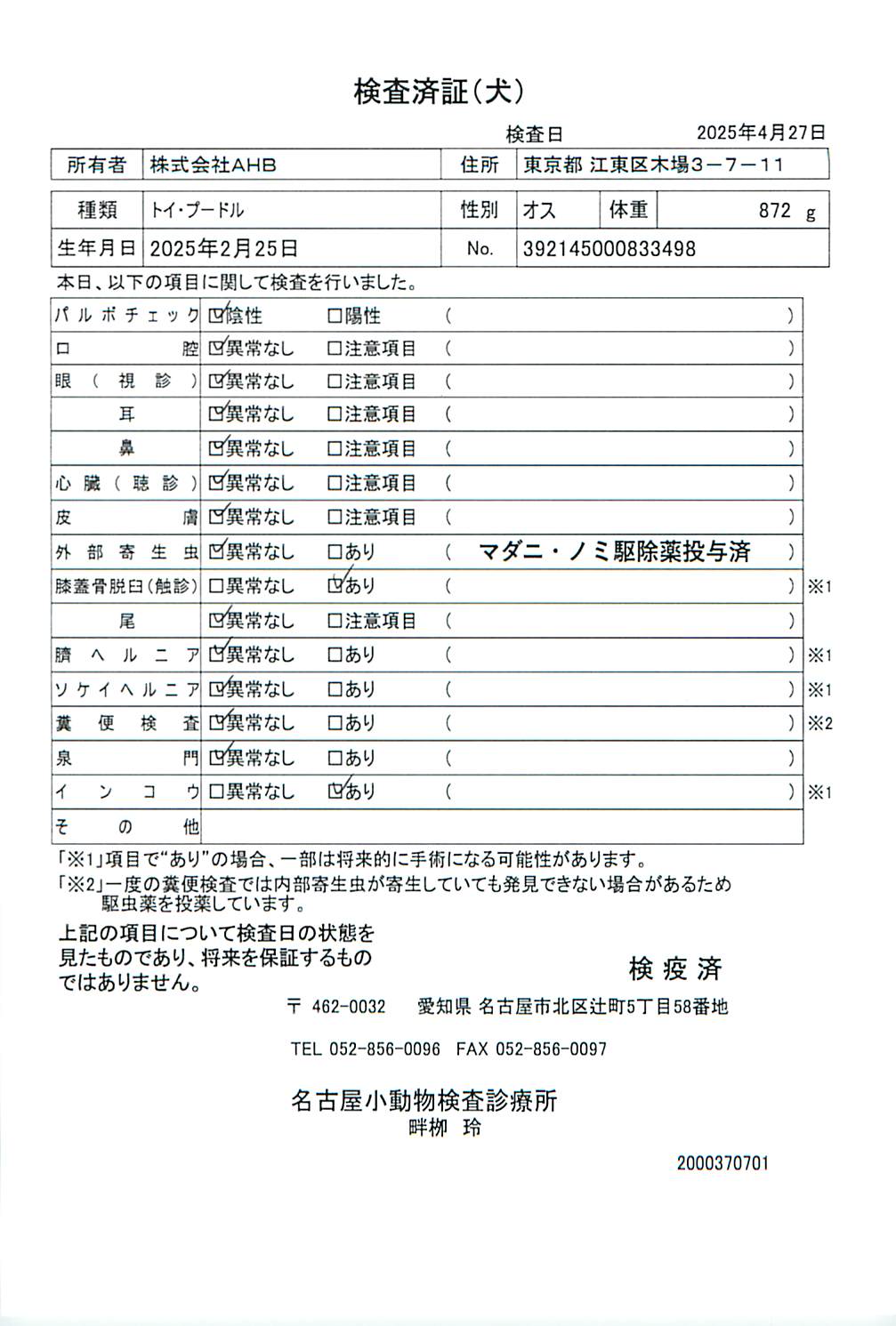 トイ・プードル