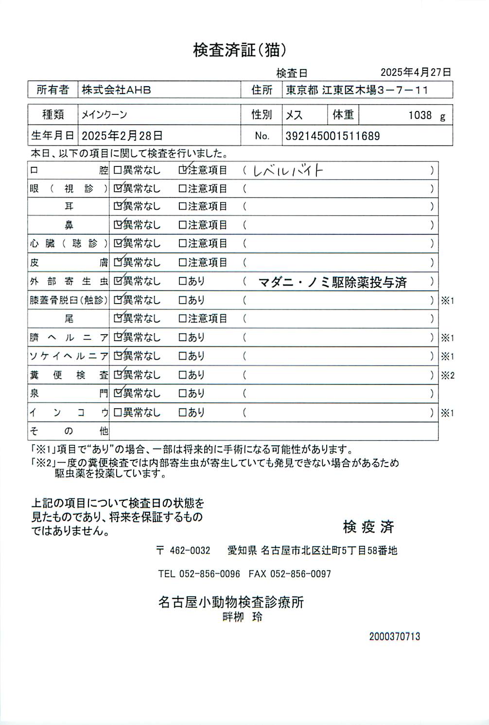 メインクーン