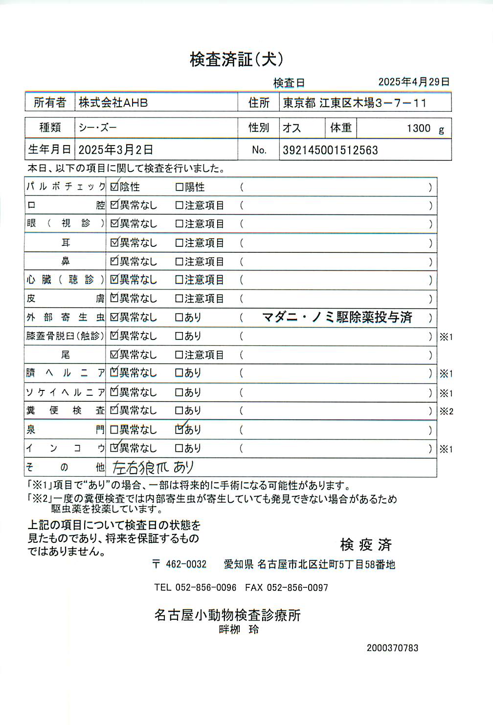 シー・ズー