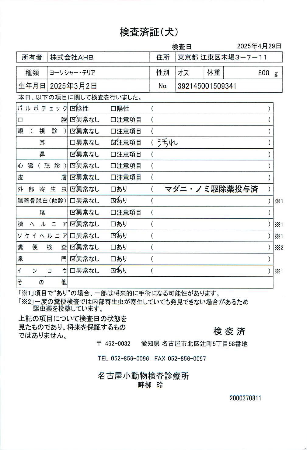 ヨークシャー・テリア