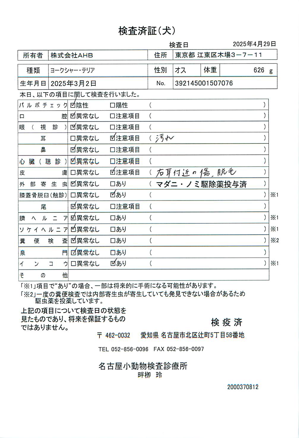 ヨークシャー・テリア