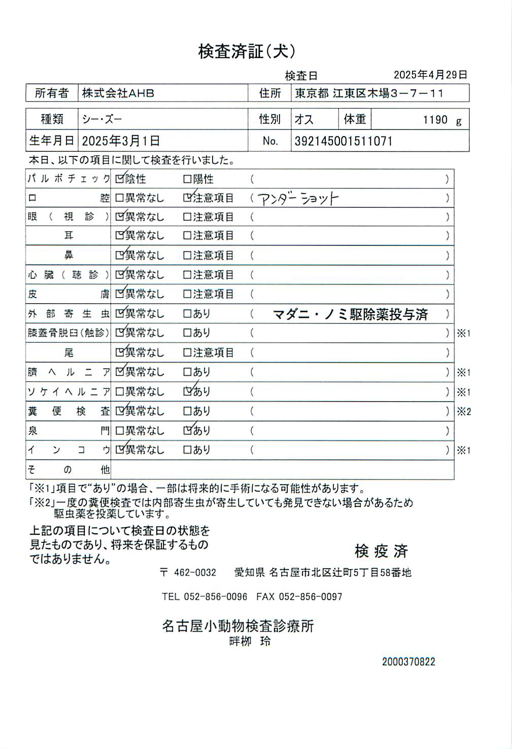 シー・ズー