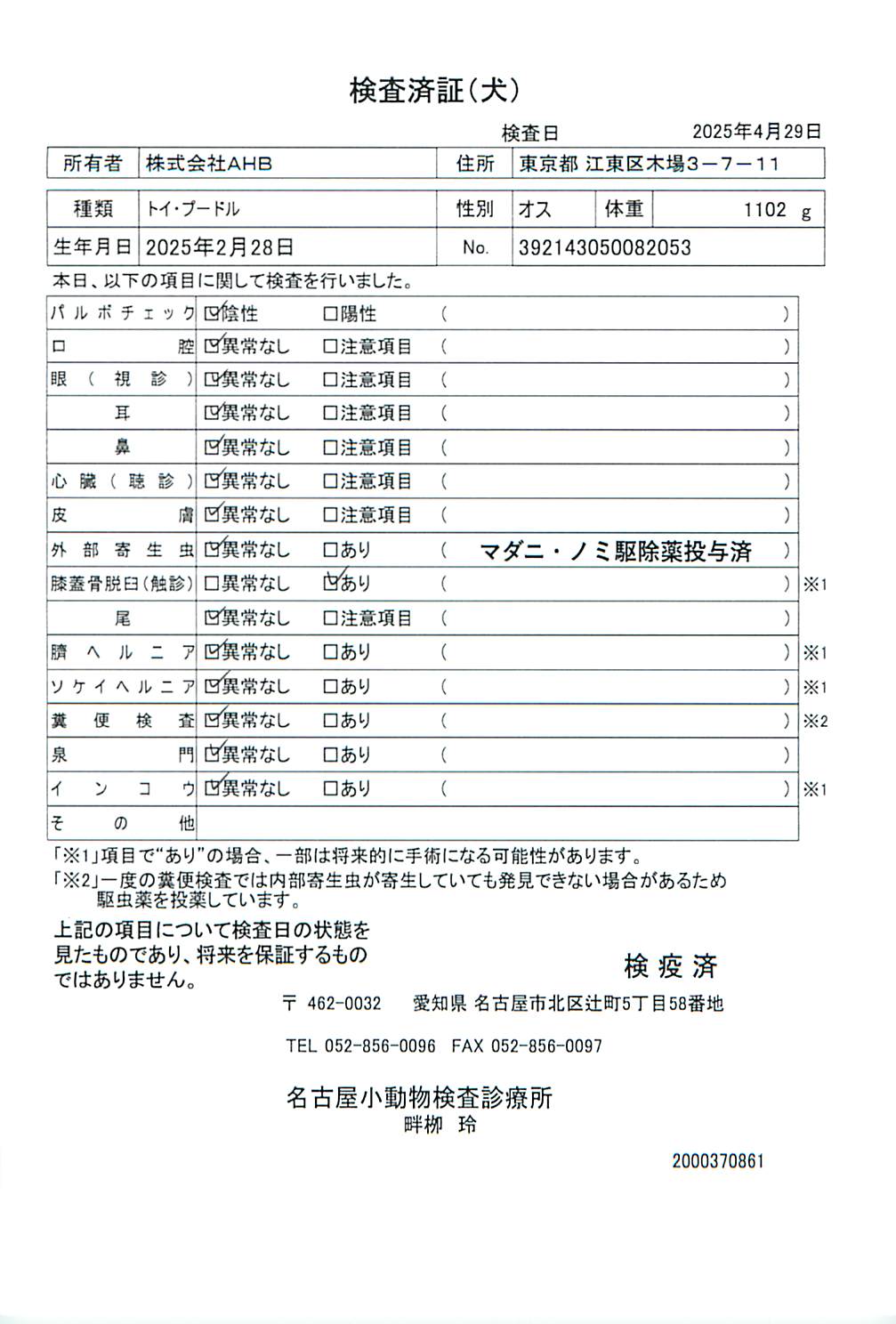 トイ・プードル
