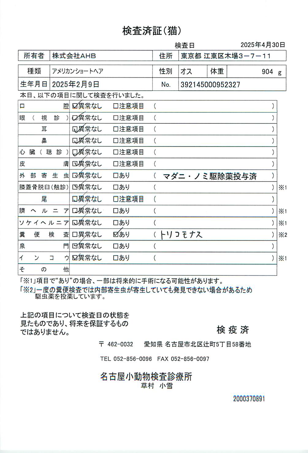 アメリカンショートヘア