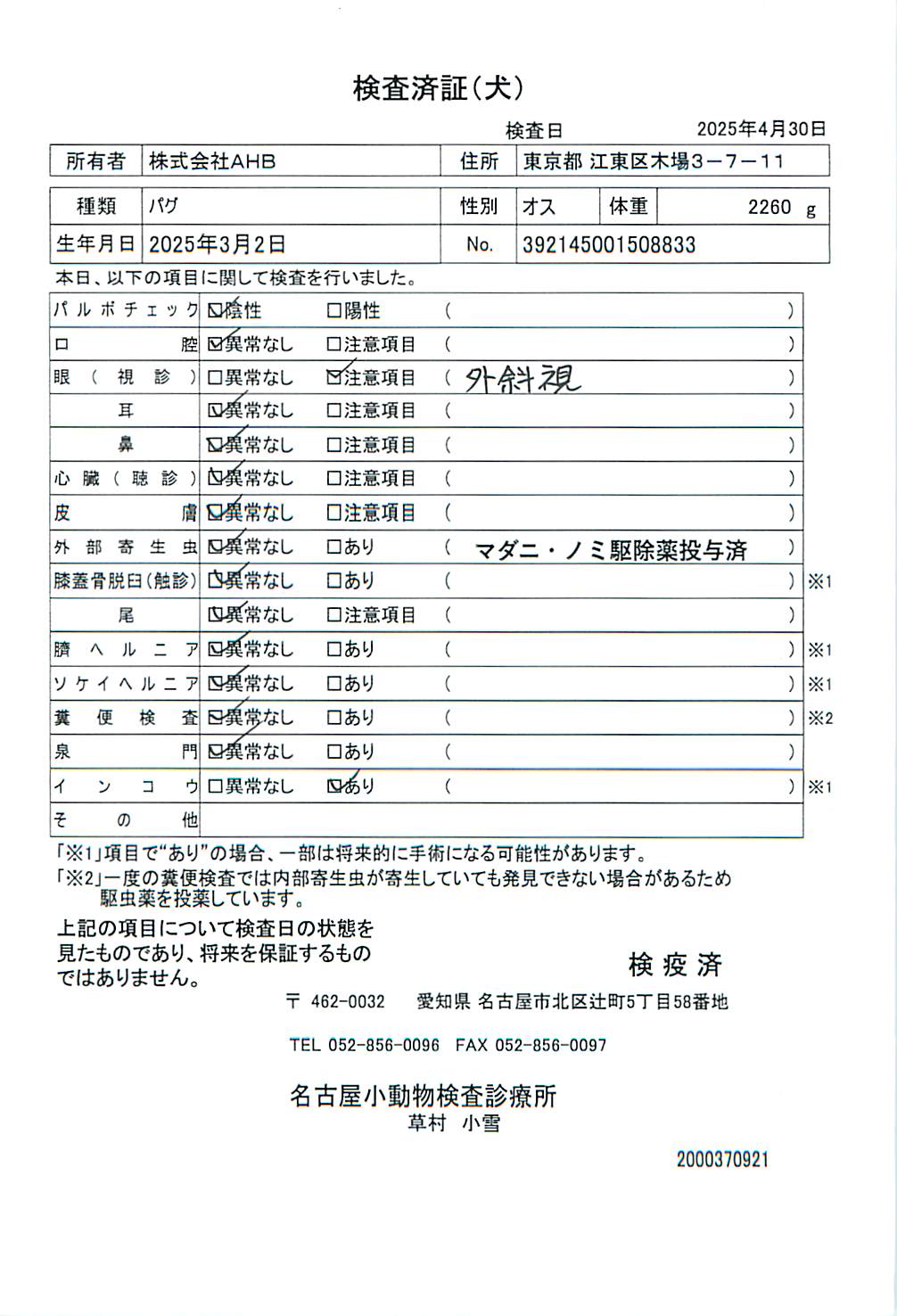 パグ