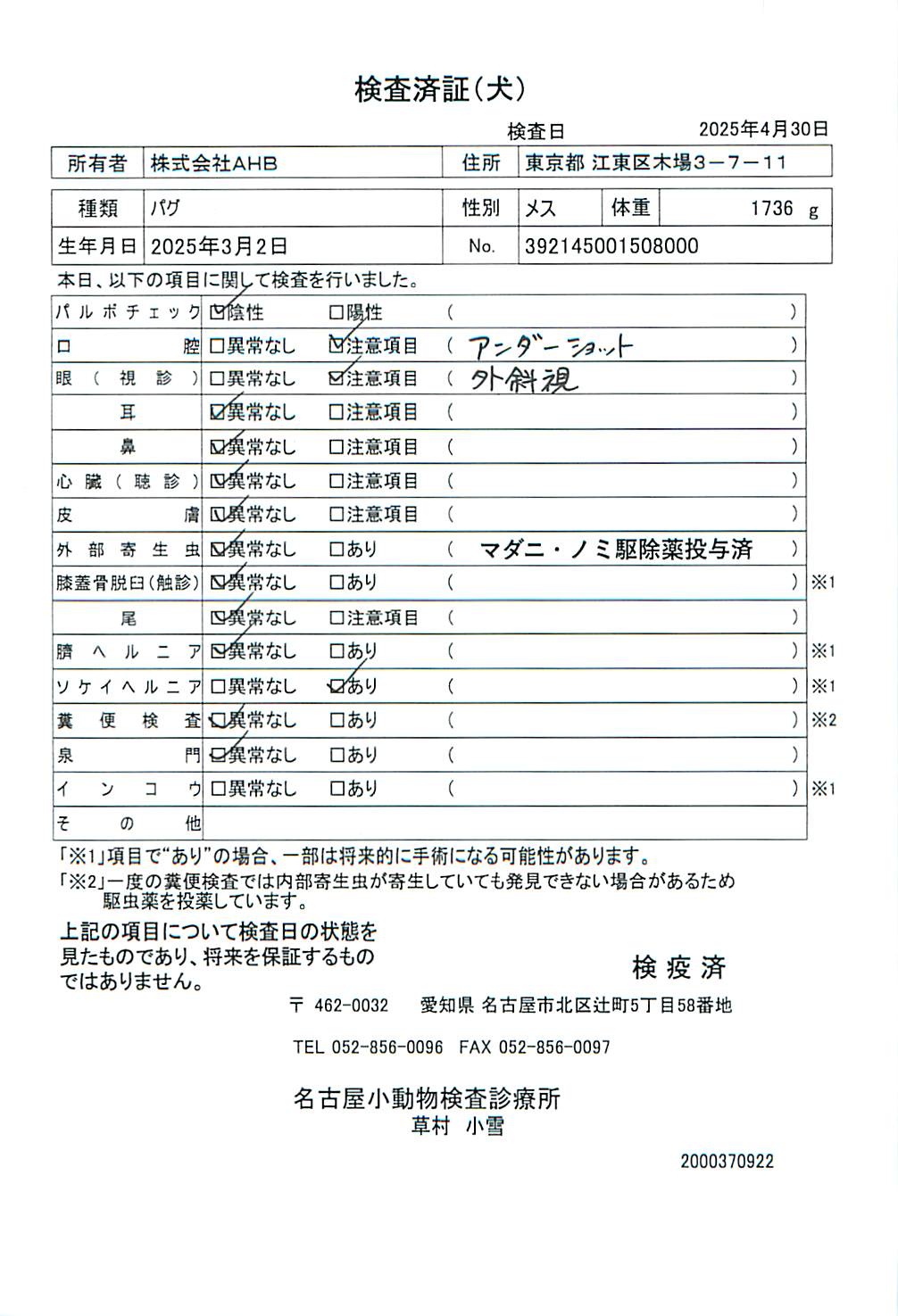 パグ