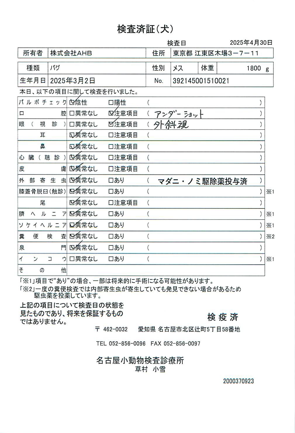 パグ