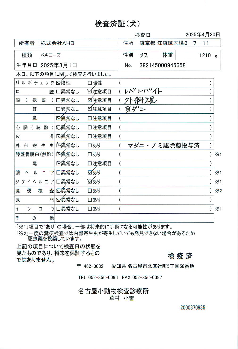 ペキニーズ