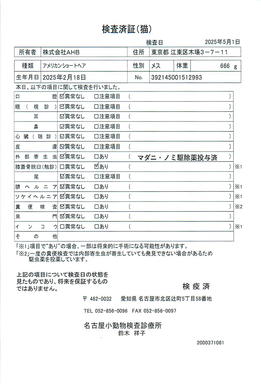 アメリカンショートヘア