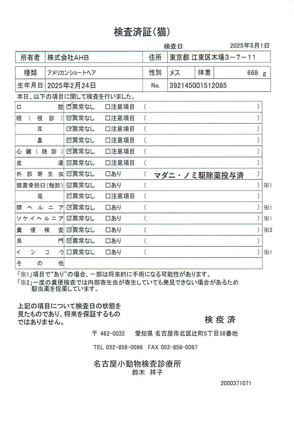 アメリカンショートヘア