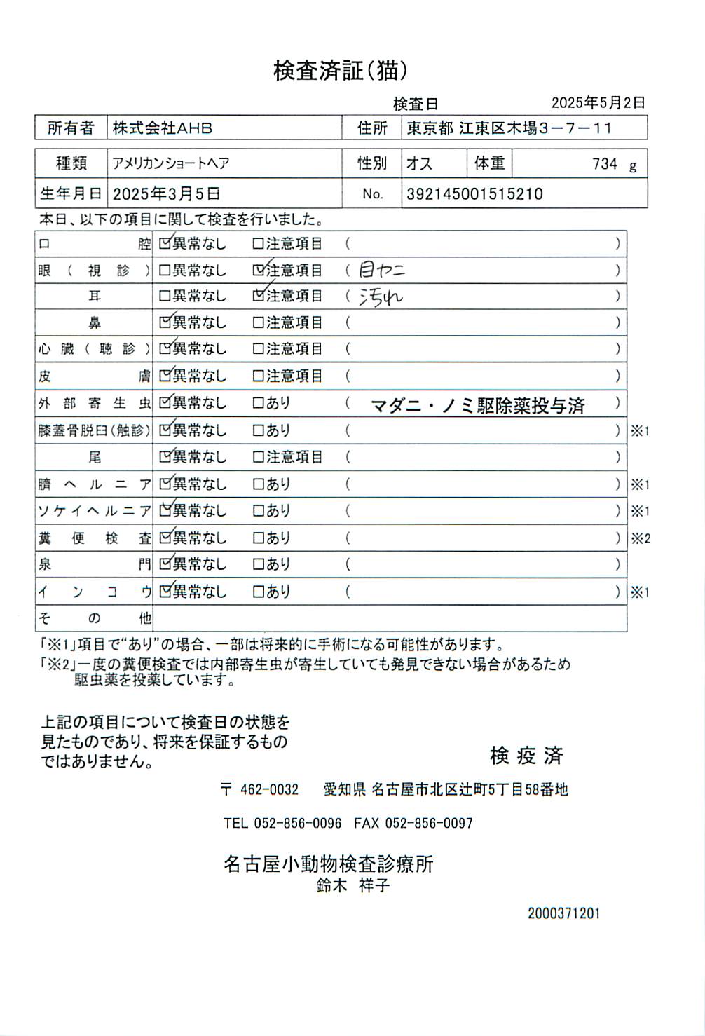 アメリカンショートヘア
