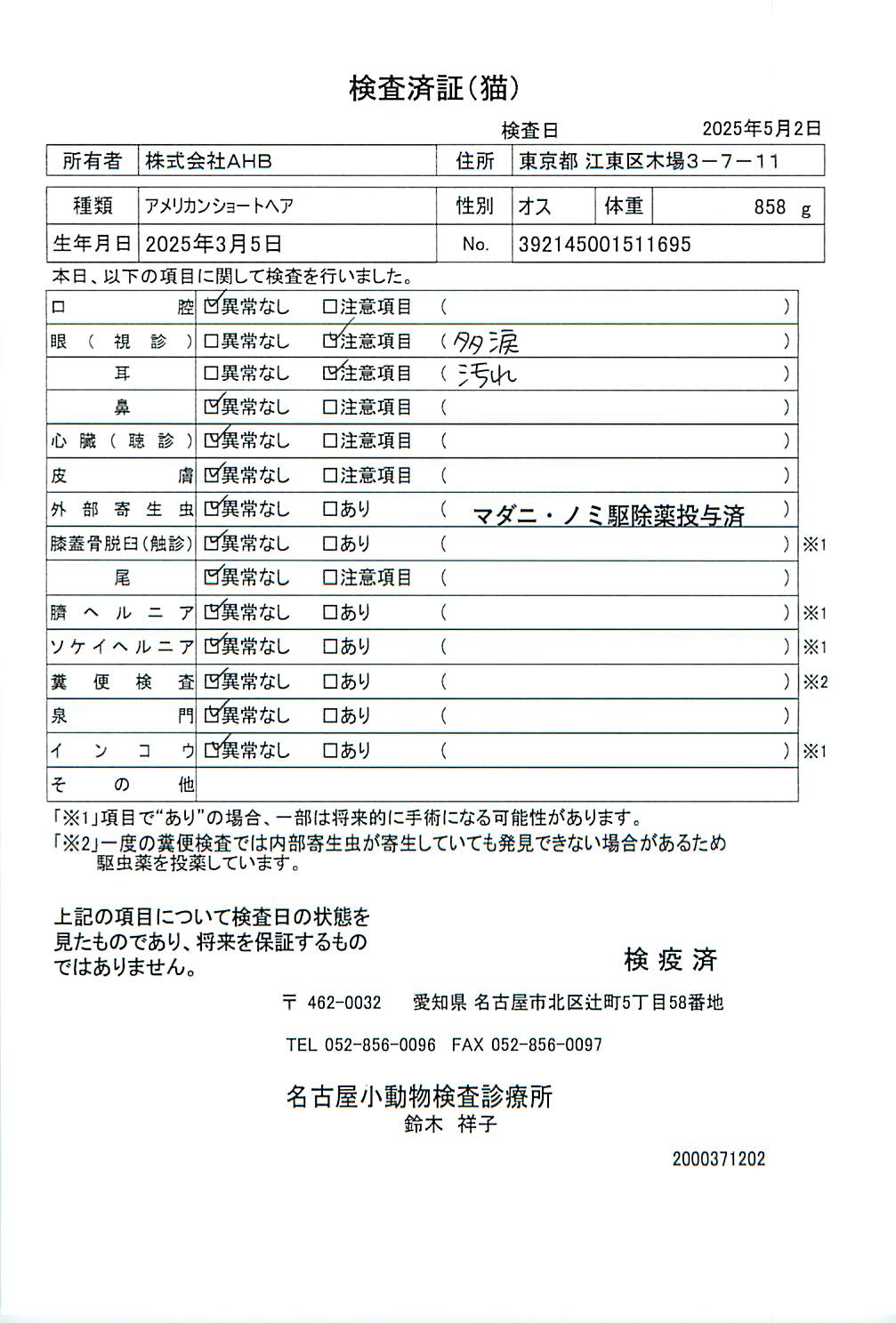 アメリカンショートヘア
