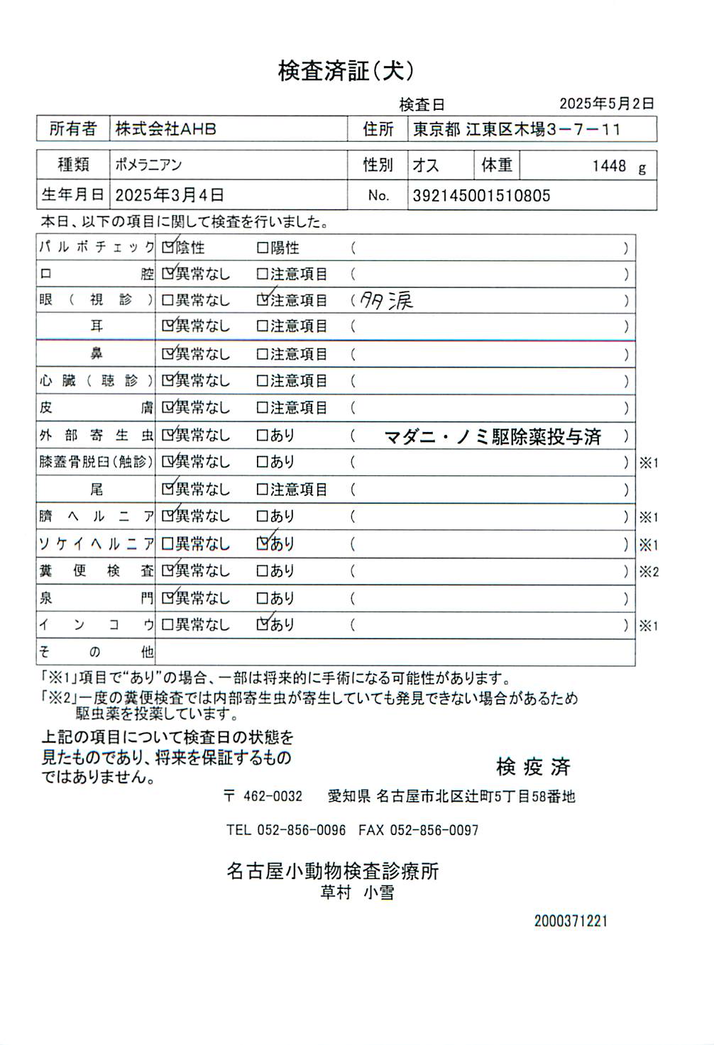 ポメラニアン