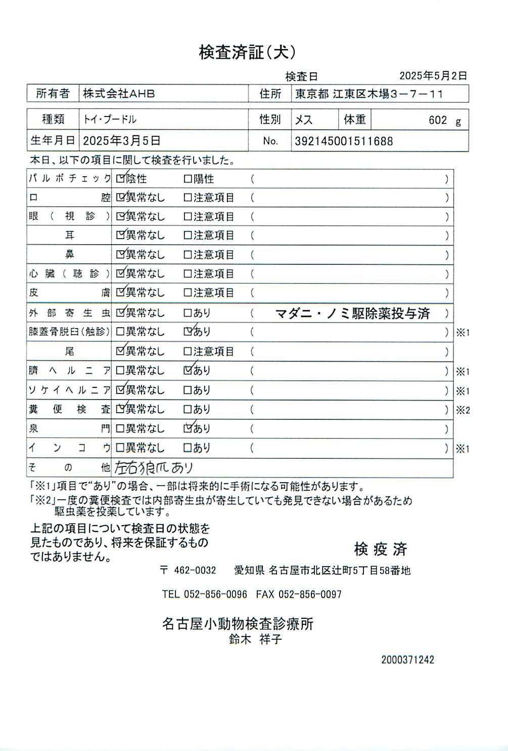 トイ・プードル