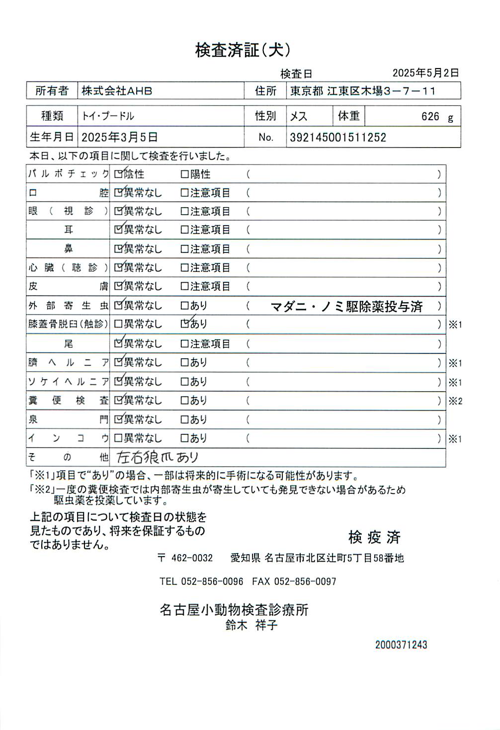 トイ・プードル